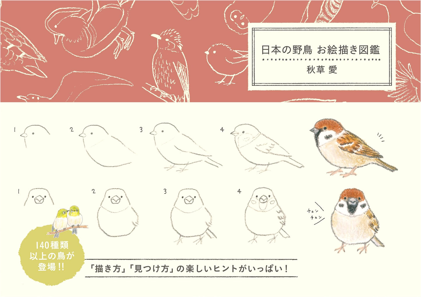 A Field Guide to Japanese Wild Birds: An Illustrated Guide by Ai Akikusa