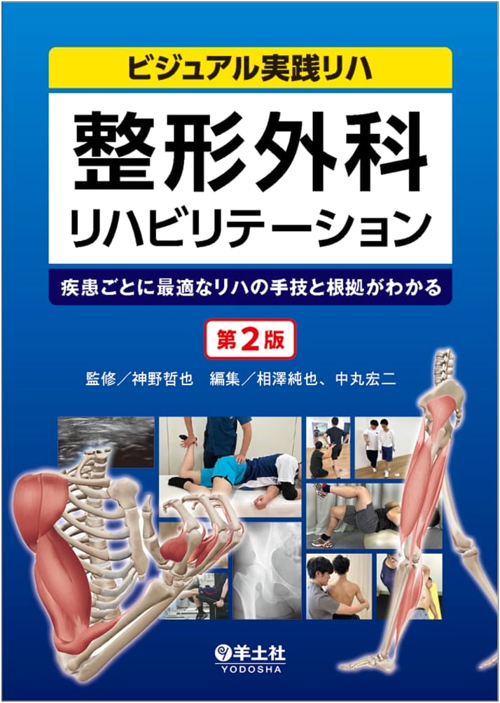 Orthopedic Rehabilitation 2nd Ed: Techniques & Evidence by Disease (Visual Practical Rehab)