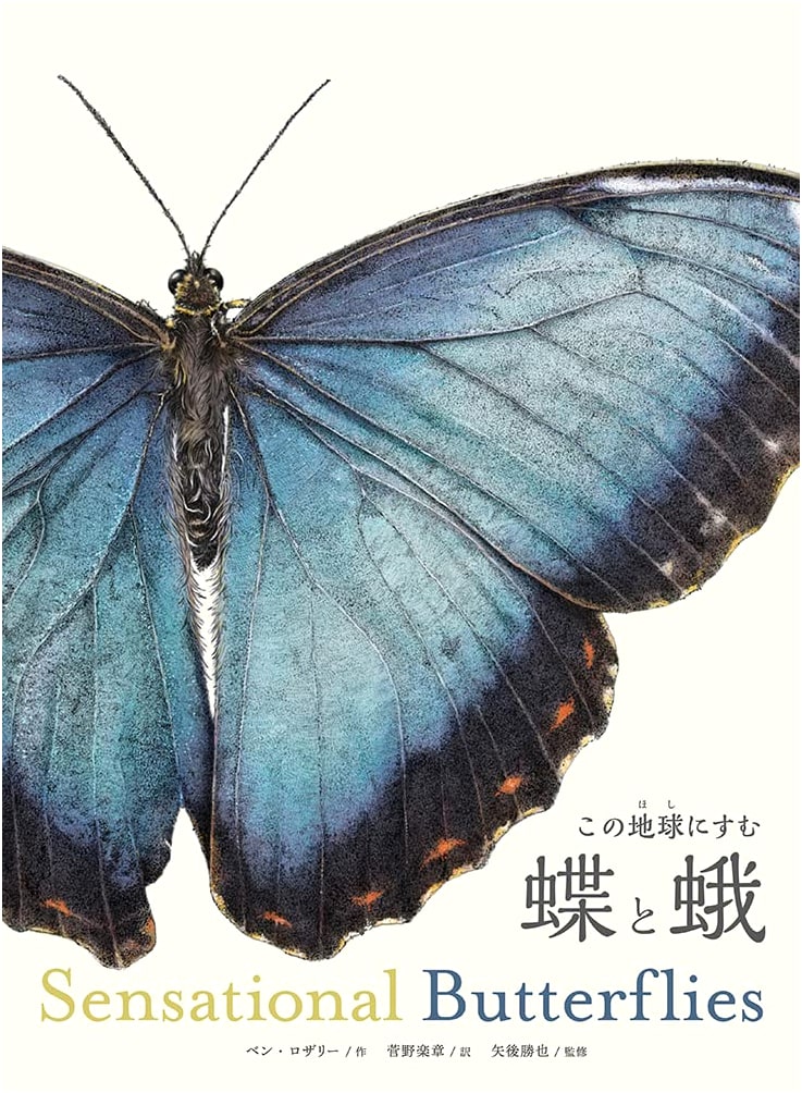 Sensational Butterflies: Butterflies and Moths Inhabiting This Earth