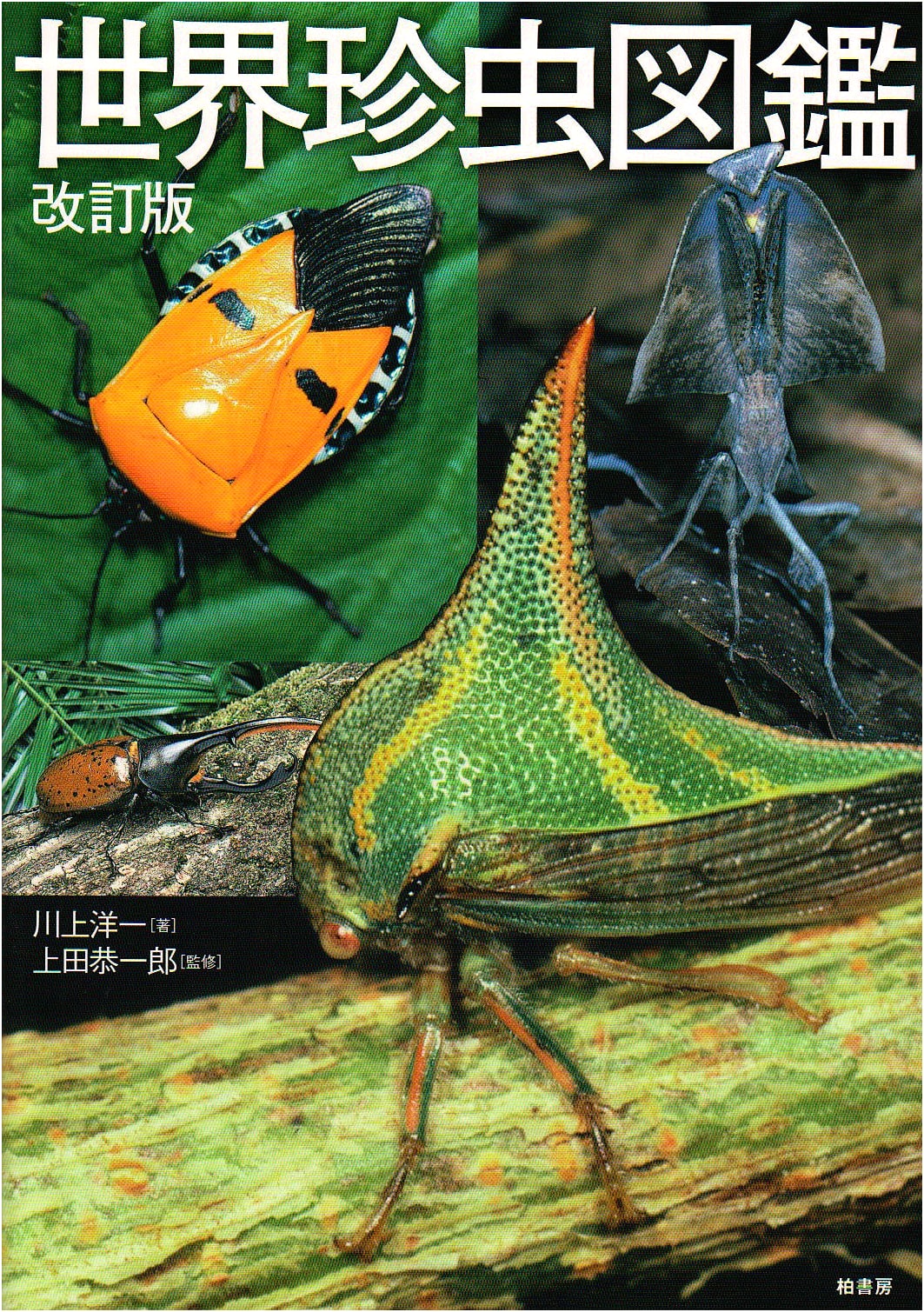 Illustrated Encyclopedia of World's Rare Insects