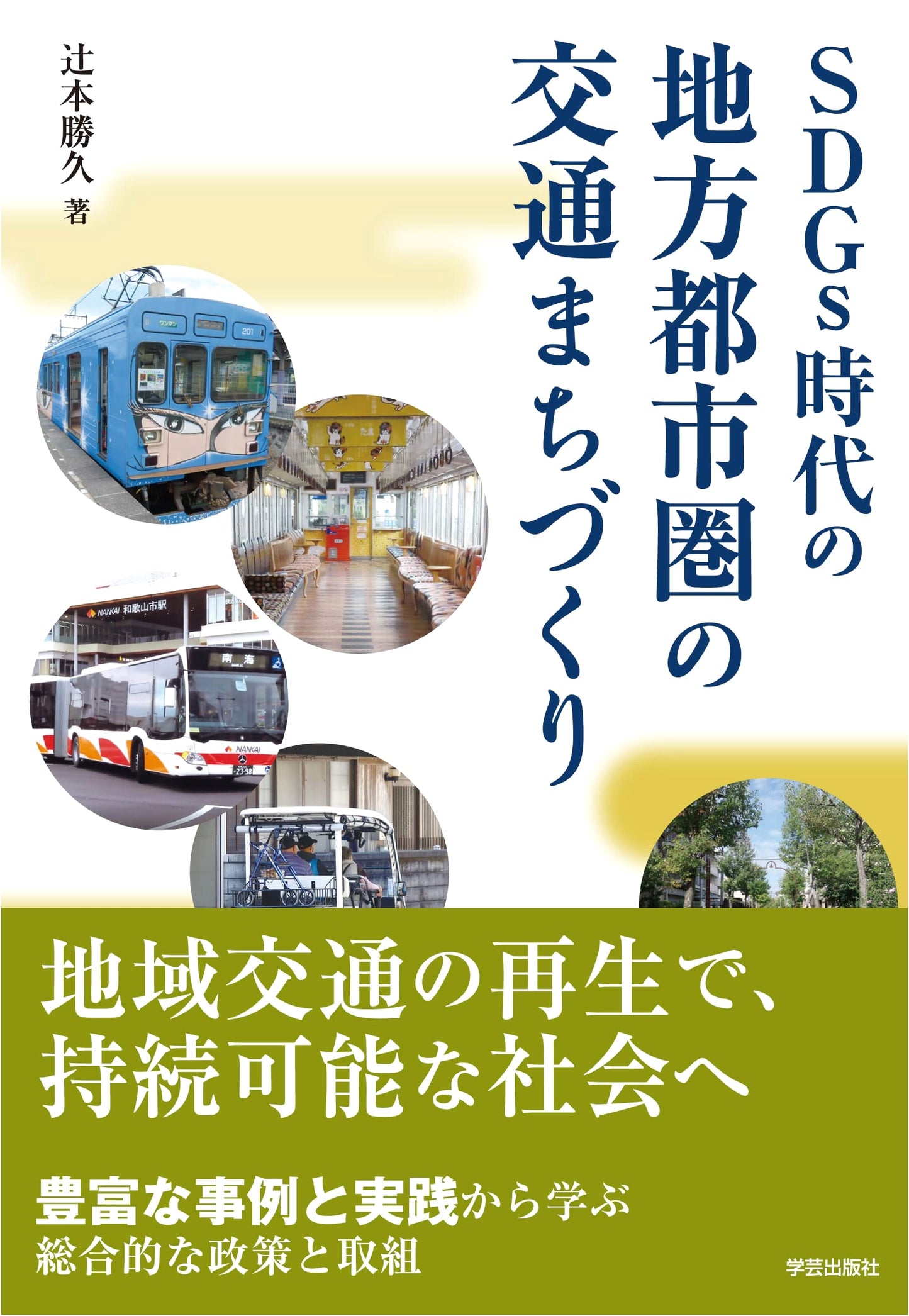 Sustainable Urban Transportation Planning for Regional Cities in the SDG Era