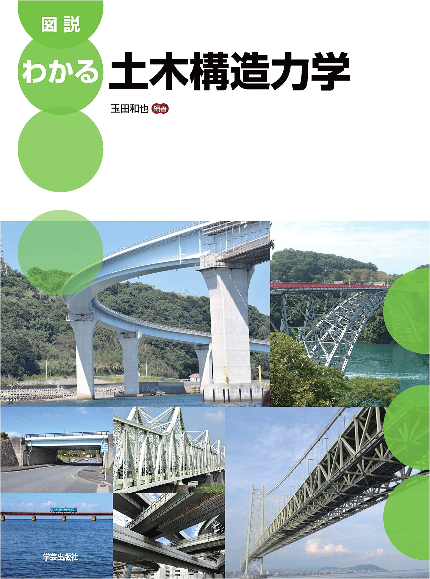 Illustrated Guide to Structural Mechanics for Civil Engineering