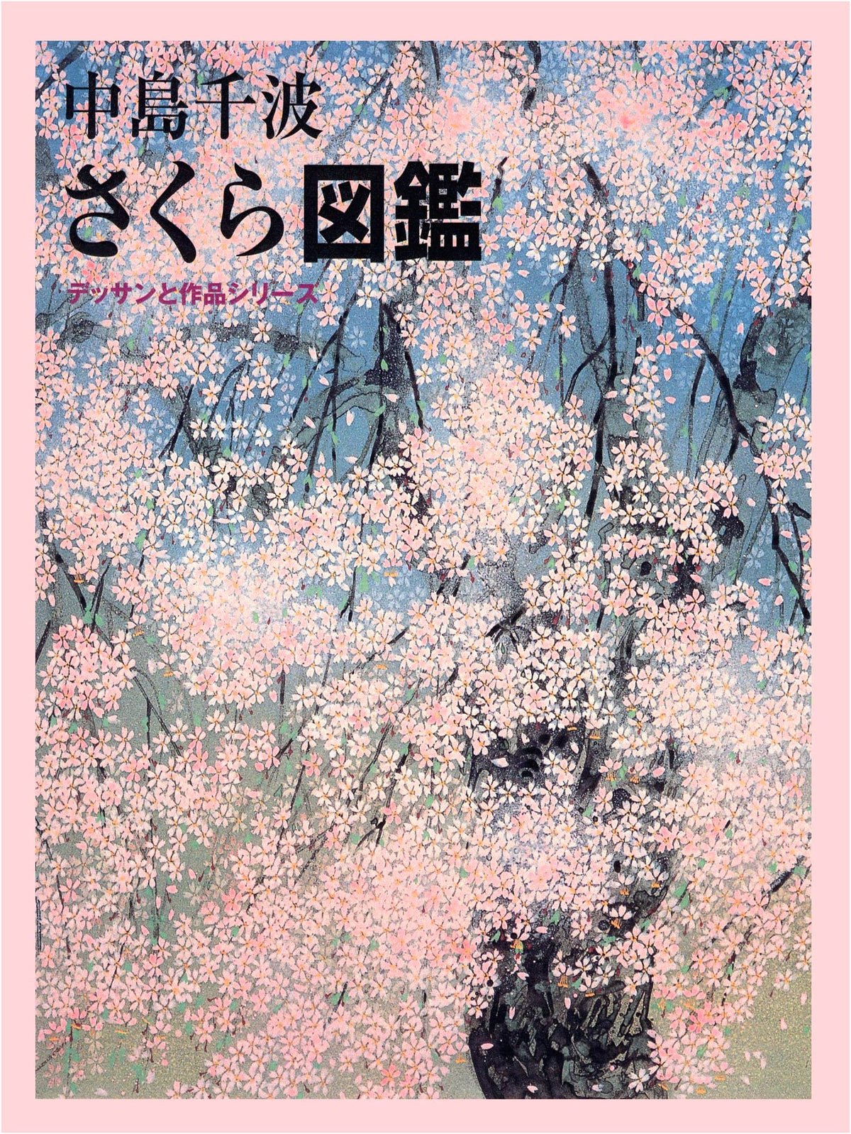 Sakura Encyclopedia: Kyuryudo Graphics - Sketch & Artwork Series