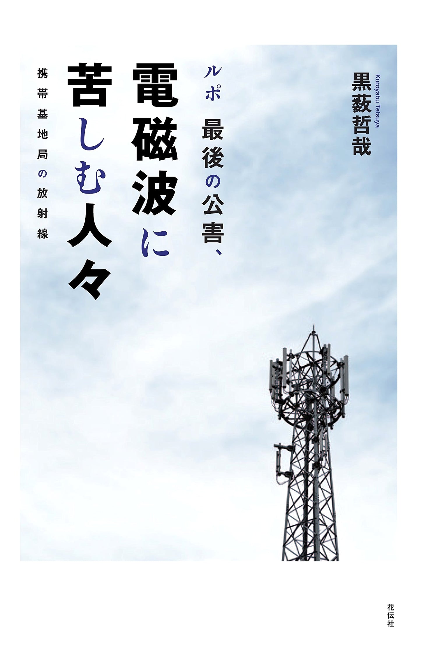 Report: The Last Pollution - People Suffering from Electromagnetic Waves and Cell Tower Radiation