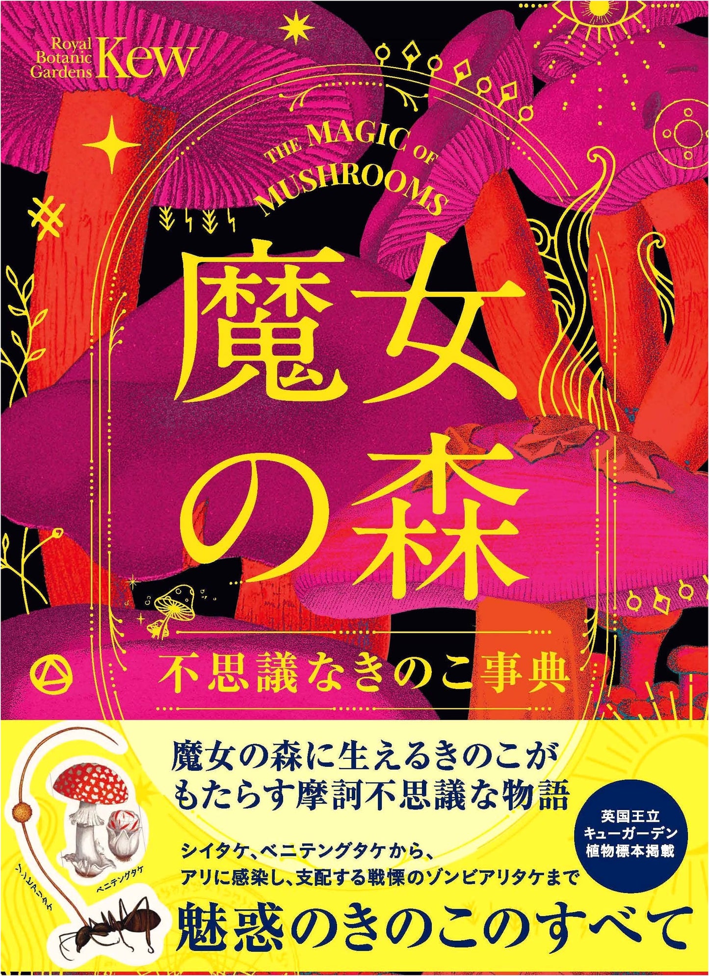 Witch's Forest: Encyclopedia of Mysterious Mushrooms