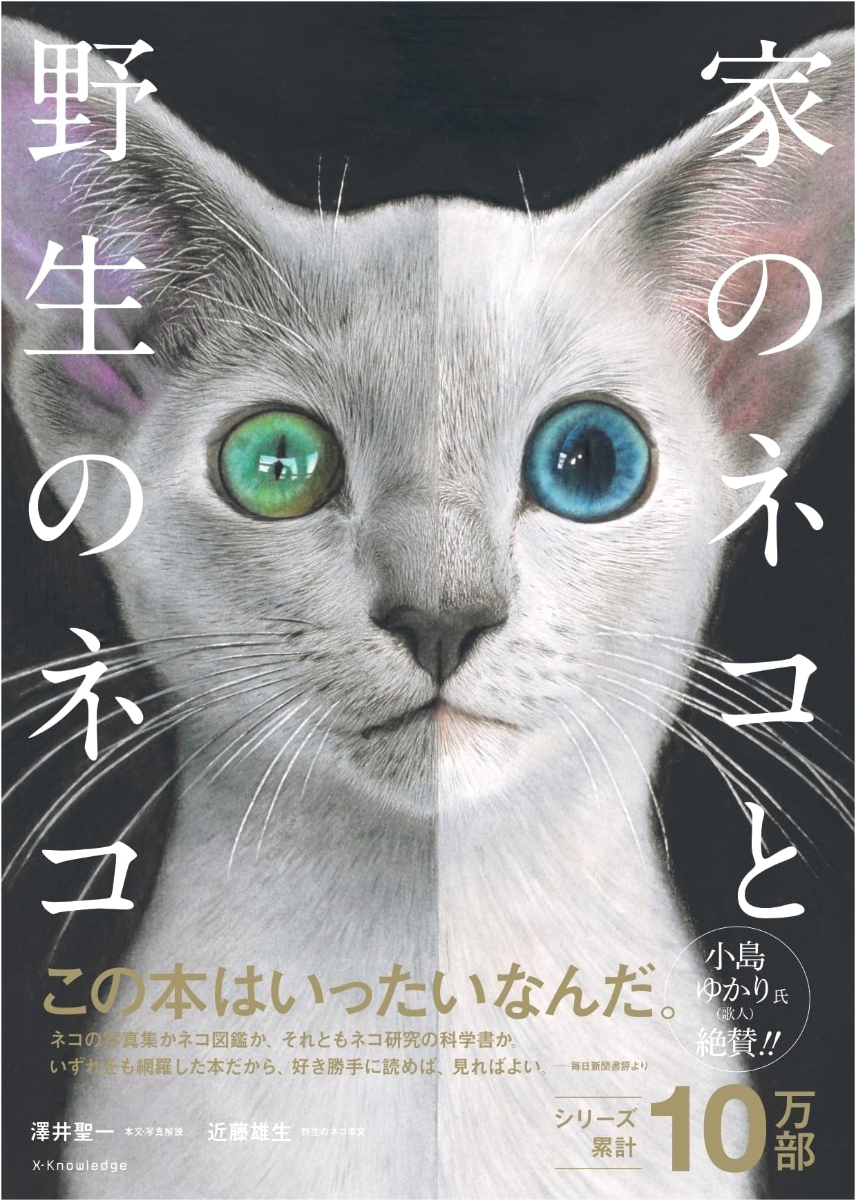 House Cats and Wild Cats: A Photographic Exploration