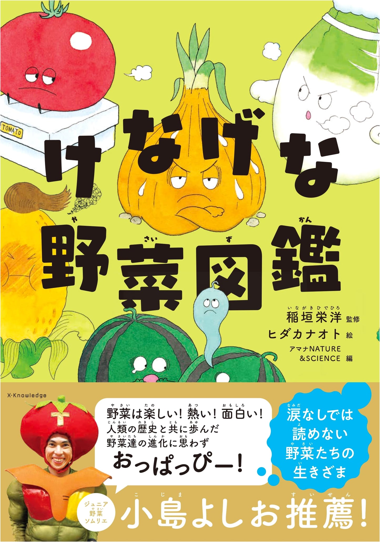 Illustrated Guide to Valiant Vegetables