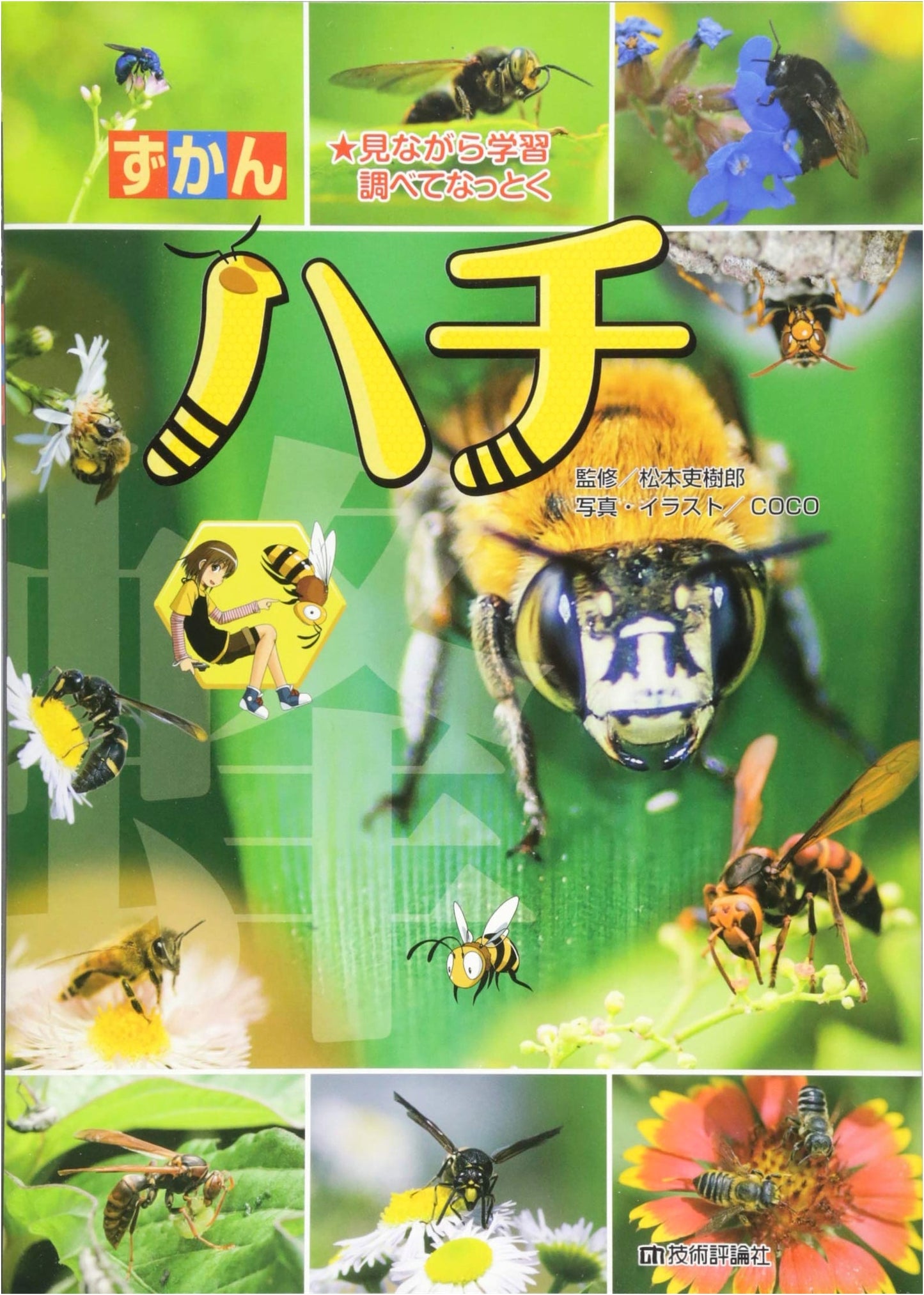 Hachi (Picture Book)