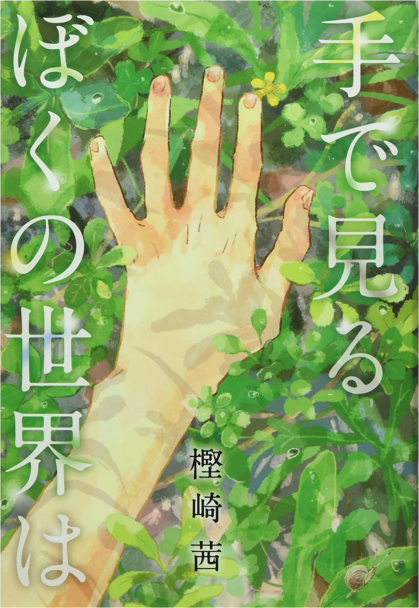 My World Seen Through My Hands (Kumon Children's Literature)
