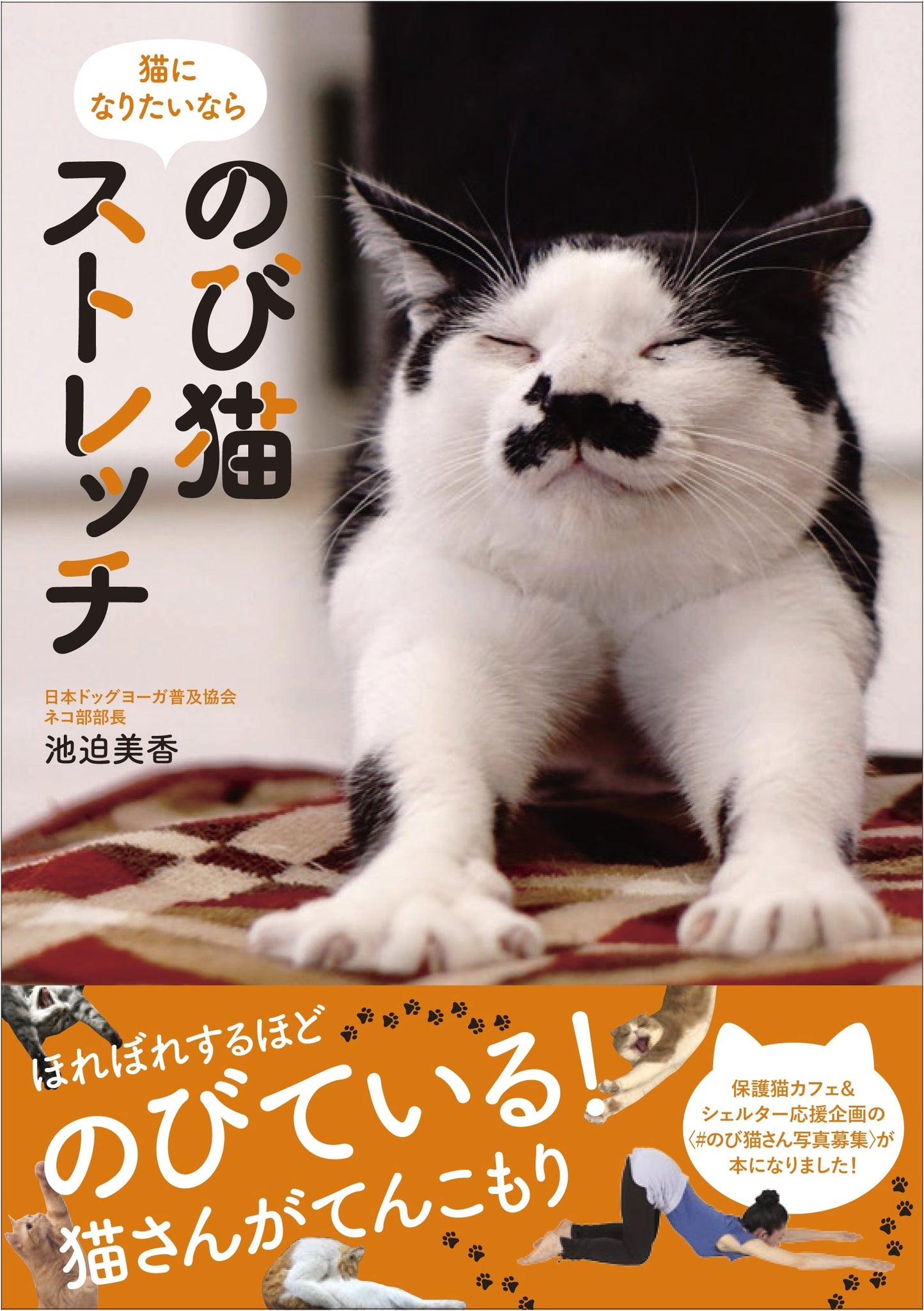 Stretch Like a Cat: If You Want to Be a Cat