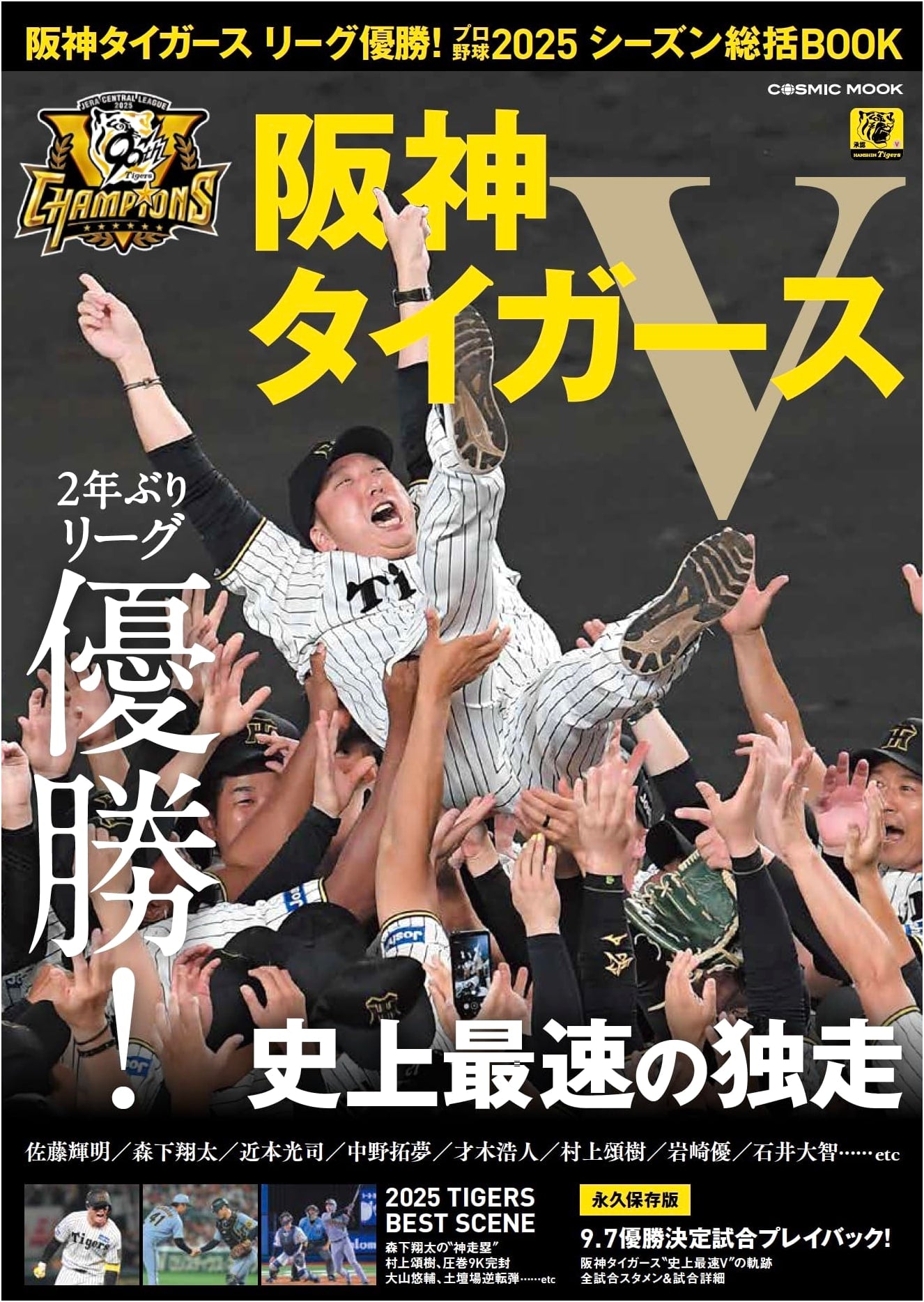 Hanshin Tigers: 2025 Pro Baseball League Championship Season Review