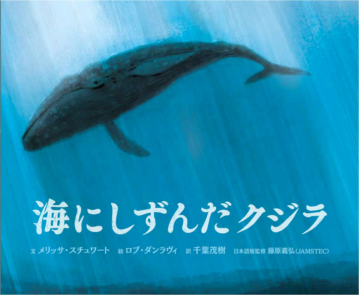 The Whale That Sank into the Sea