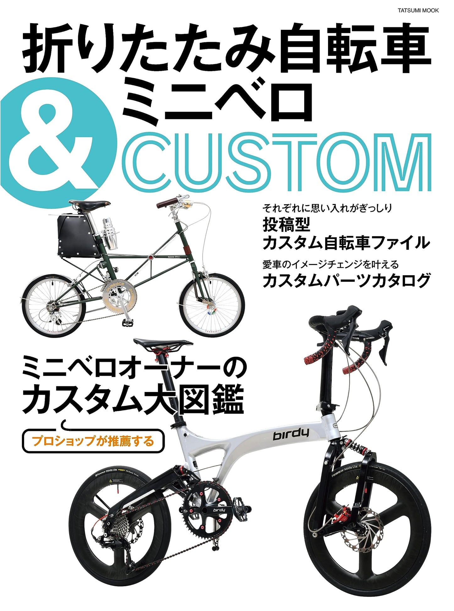 Folding Bicycle & Mini Velo Custom Guide