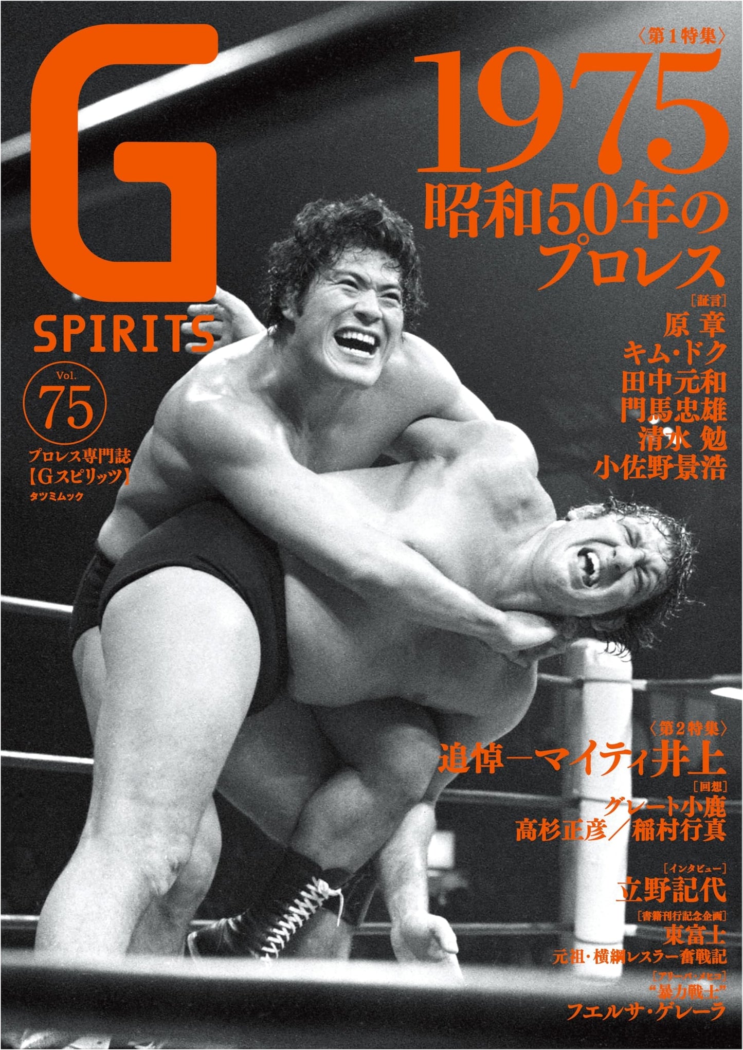 G Spirits Vol. 75 (Tatsumi Mook)