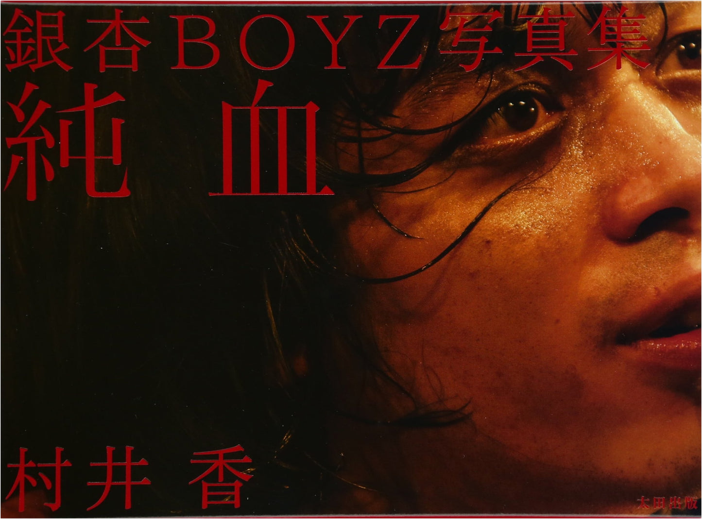 Ginnan BOYZ Photobook: Pure Blood