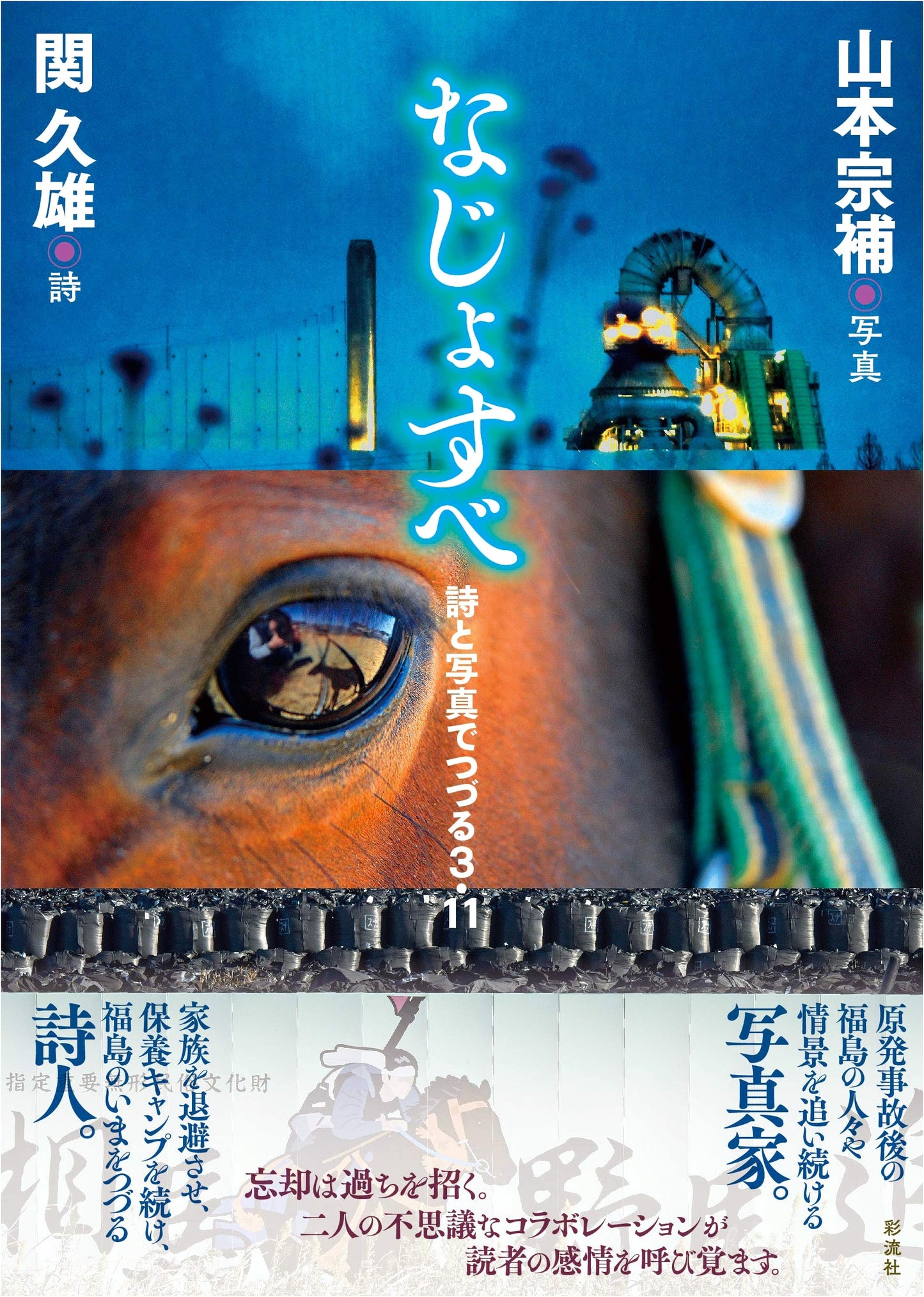 Najo Sube: Echoes of 3/11 – Poems and Photographs