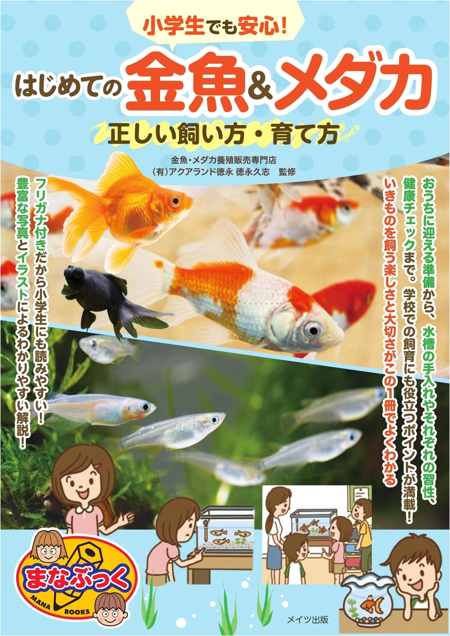 Safe for Kids! First-Time Goldfish & Medaka: Proper Care & Raising (Manabook)