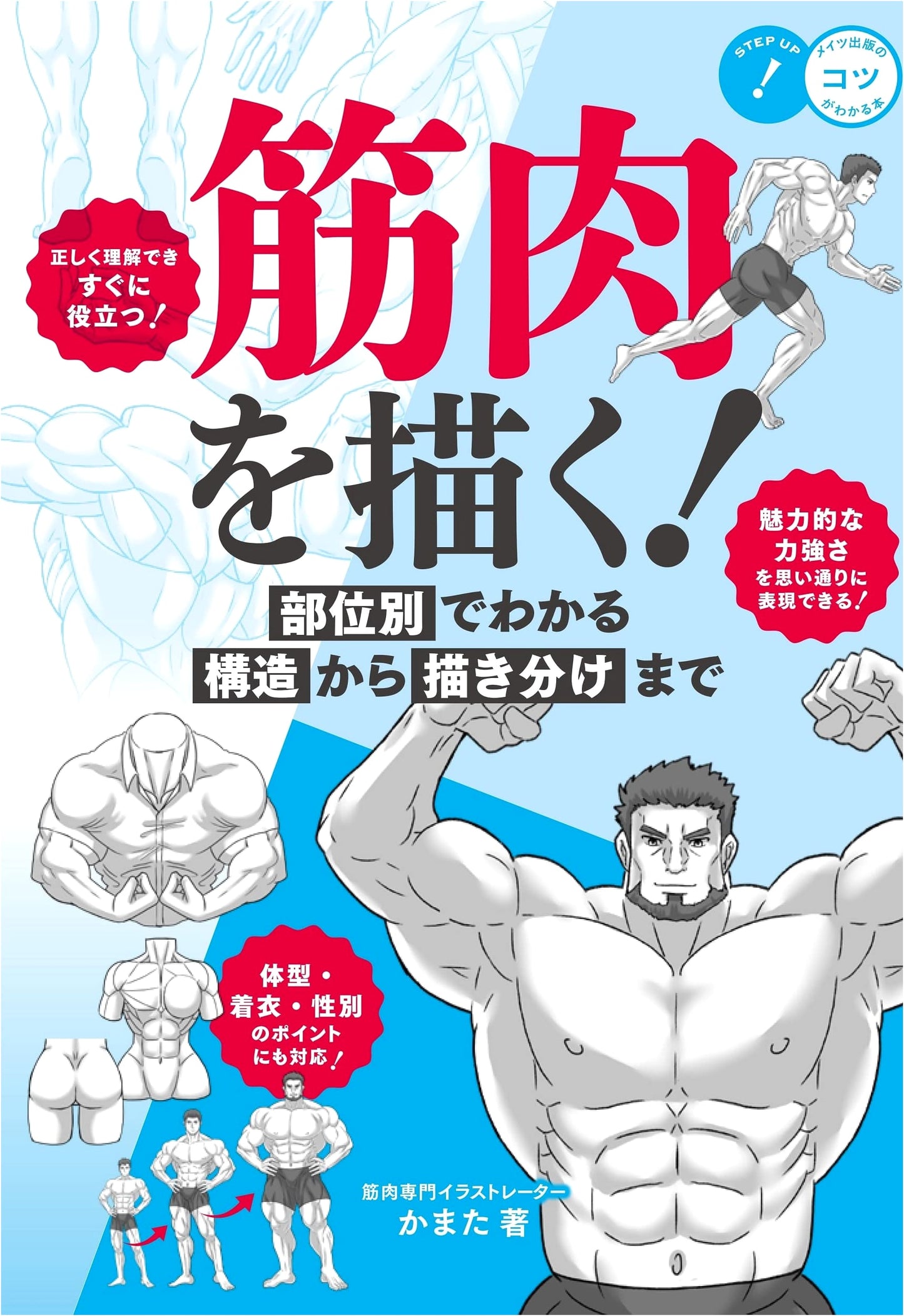 Drawing Muscles: A Guide to Structure and Anatomy by Kamata