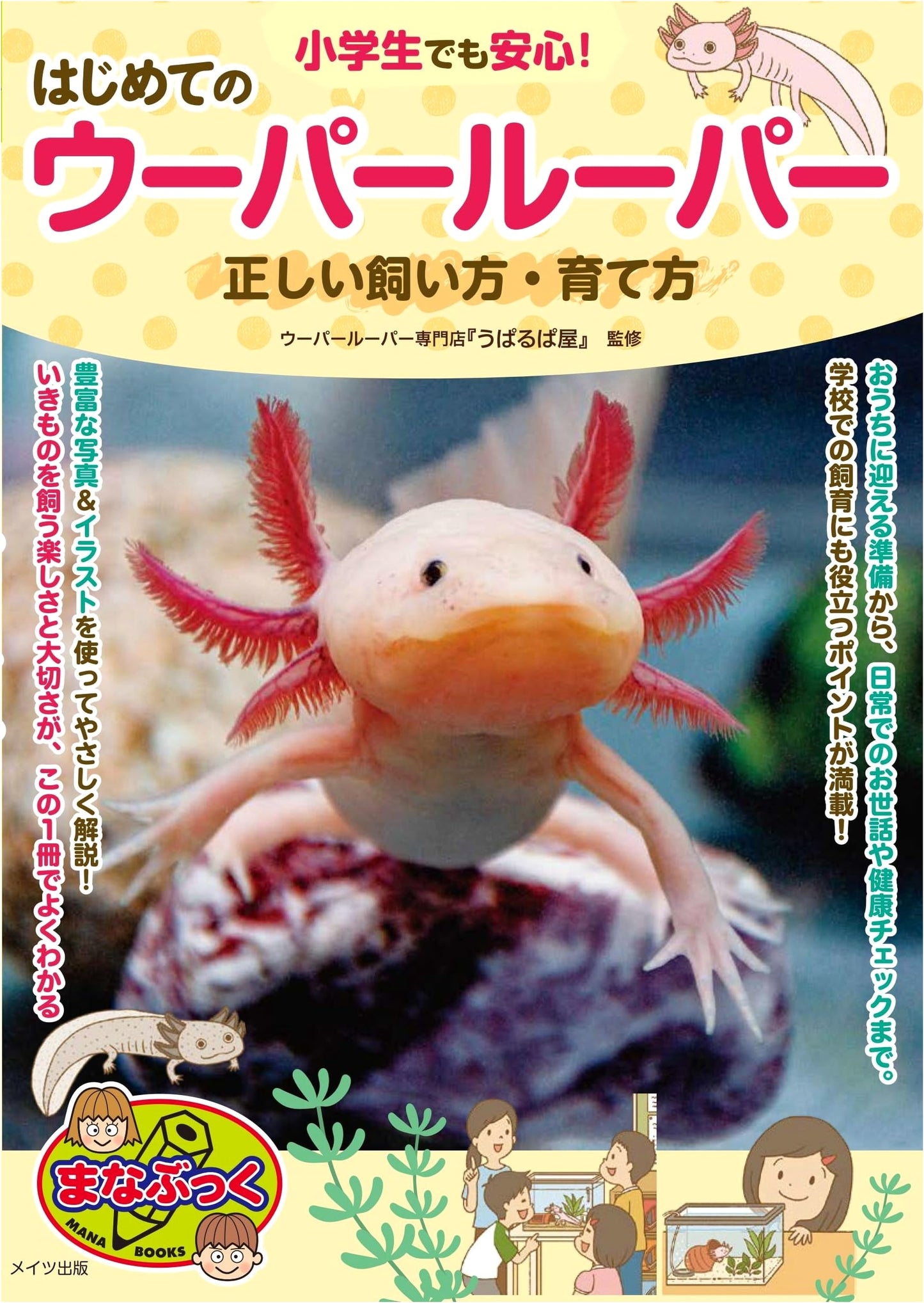Axolotl for Beginners: A Kids' Guide to Proper Care & Raising (Manabukku Series)