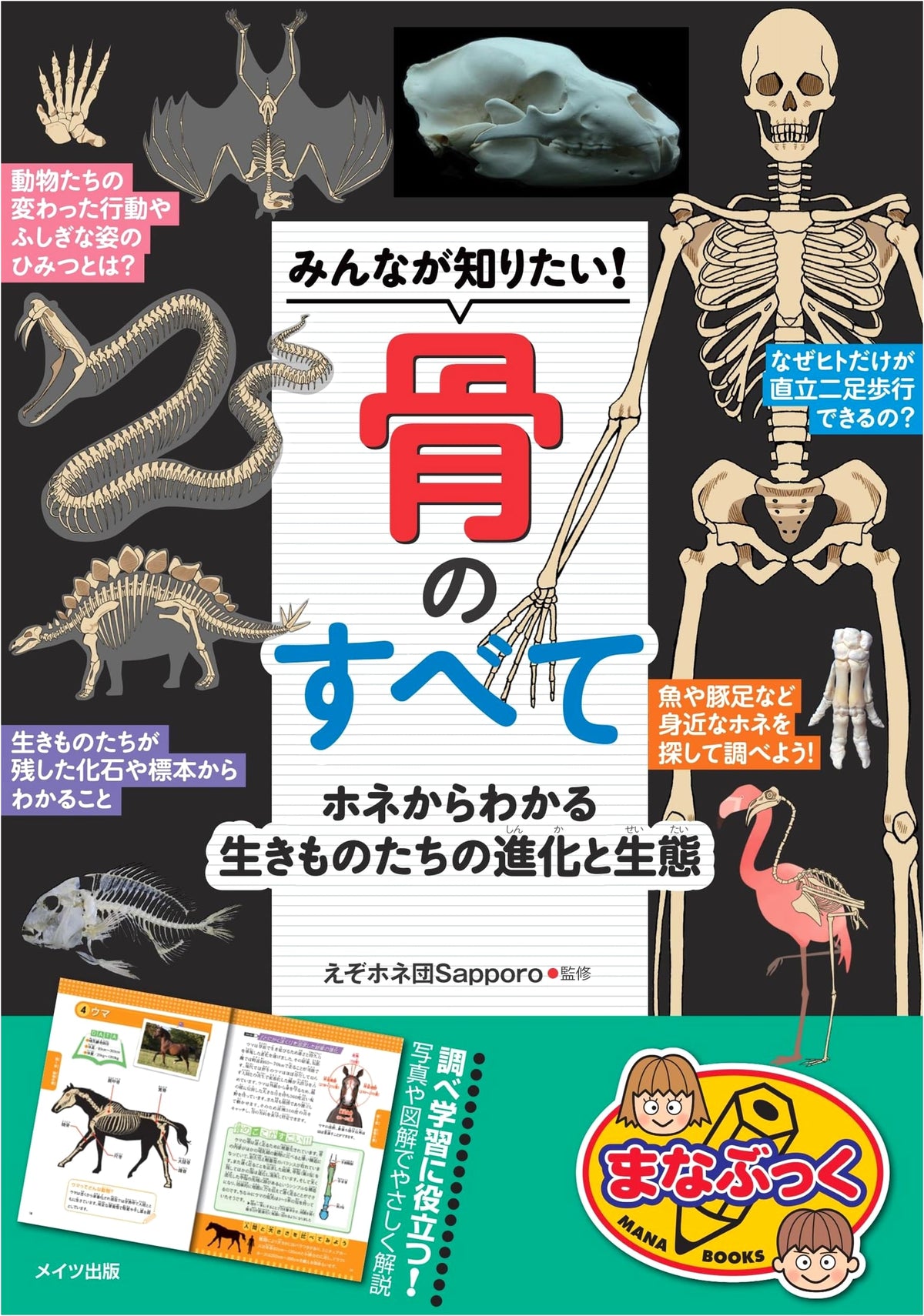 All About Bones: Secrets to Survival from Human & Animal Skeletons (Manabukku)