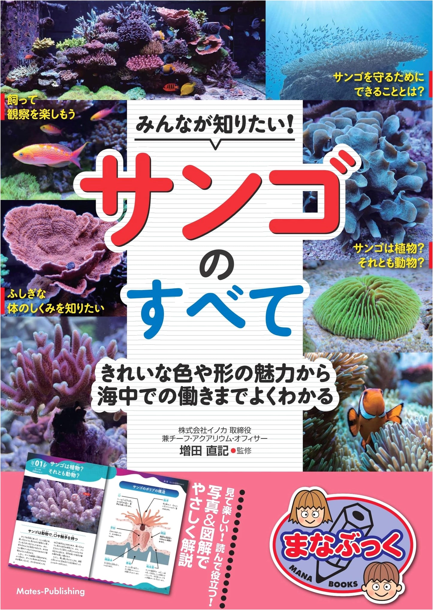 All About Coral: Its Beauty, Forms, and Vital Role in the Ocean (Manabukku Series)