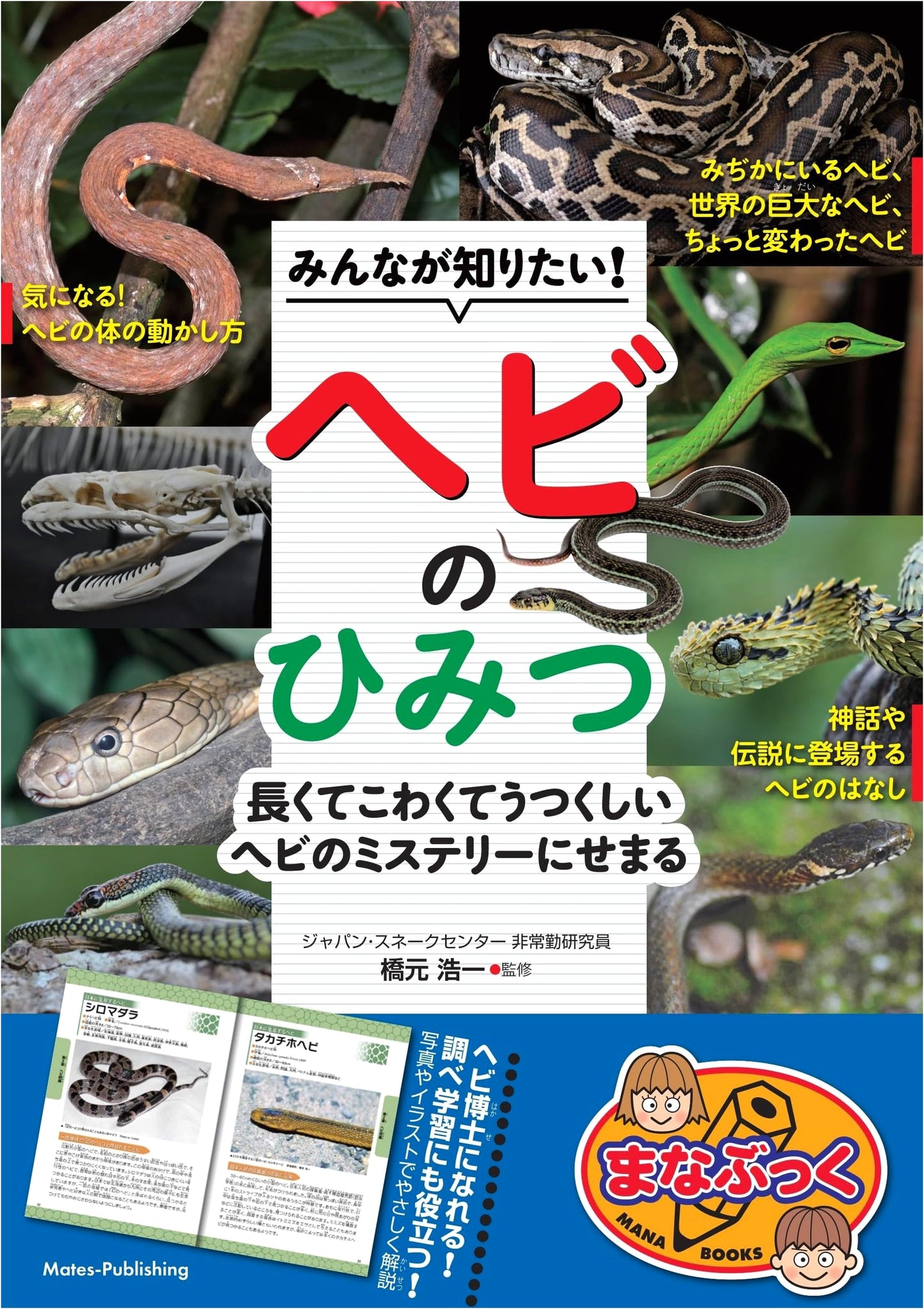 Secrets of Snakes: Long, Scary, Beautiful Mysteries Everyone Wants to Know