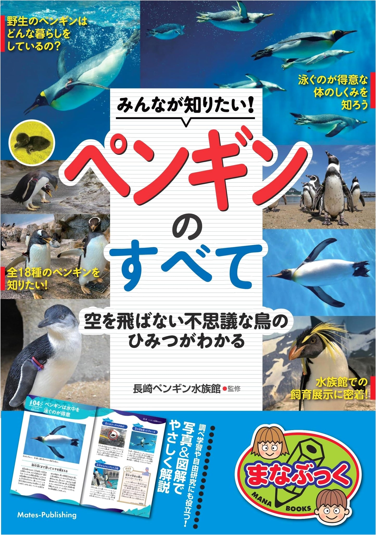 Everything Everyone Wants to Know About Penguins: Secrets of Flightless Birds