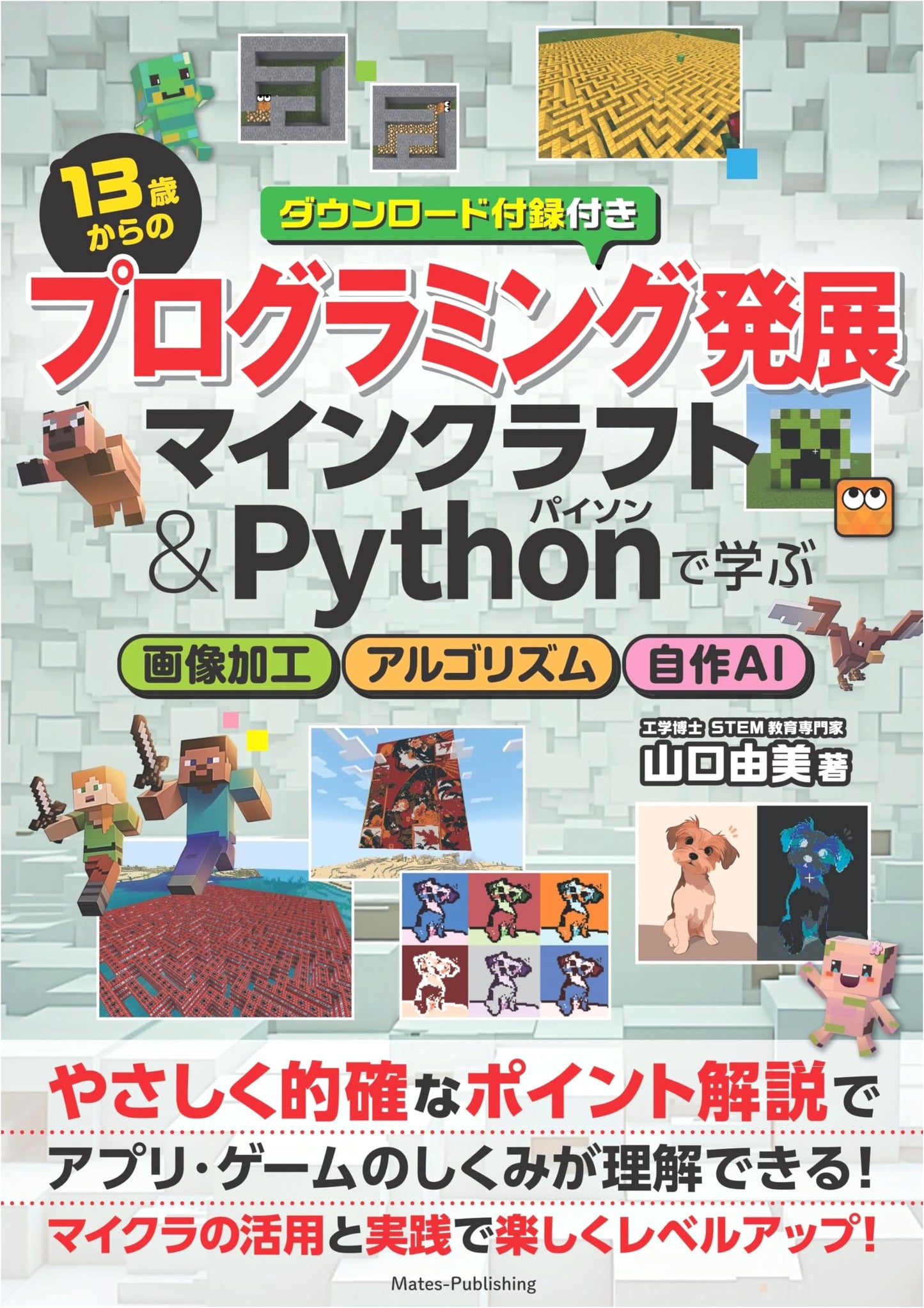 Advanced Programming for 13-Year-Olds: Learn Image Processing, Algorithms & AI with Minecraft & Python