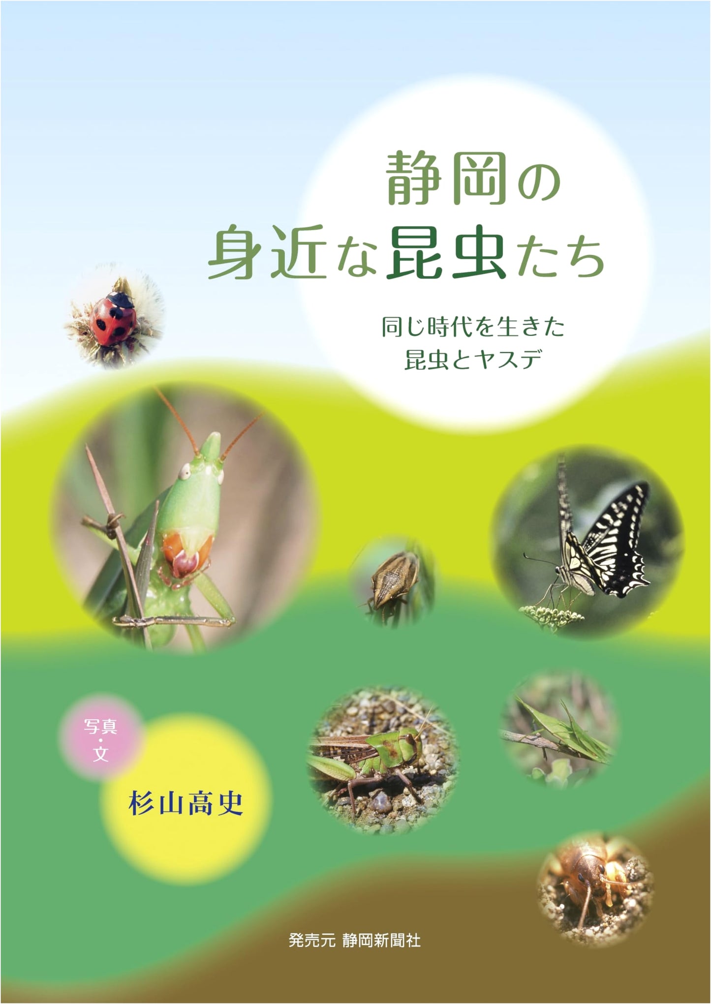 Shizuoka's Everyday Insects: Insects and Millipedes from the Same Era