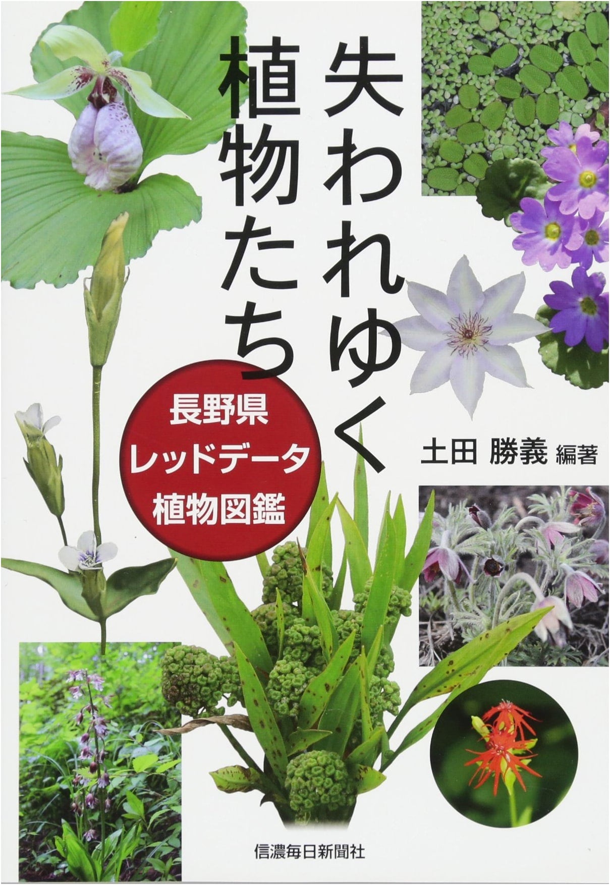 Vanishing Plants of Nagano: Red Data Illustrated Guide to Endangered Species