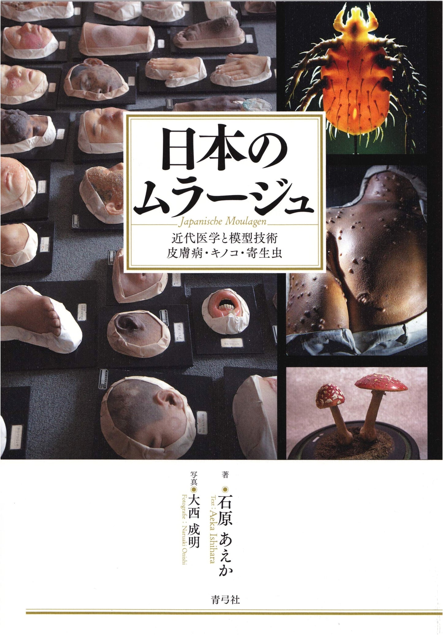 Japanese Moulage: Modern Medicine and Modeling Techniques - Ishikawa Aeka