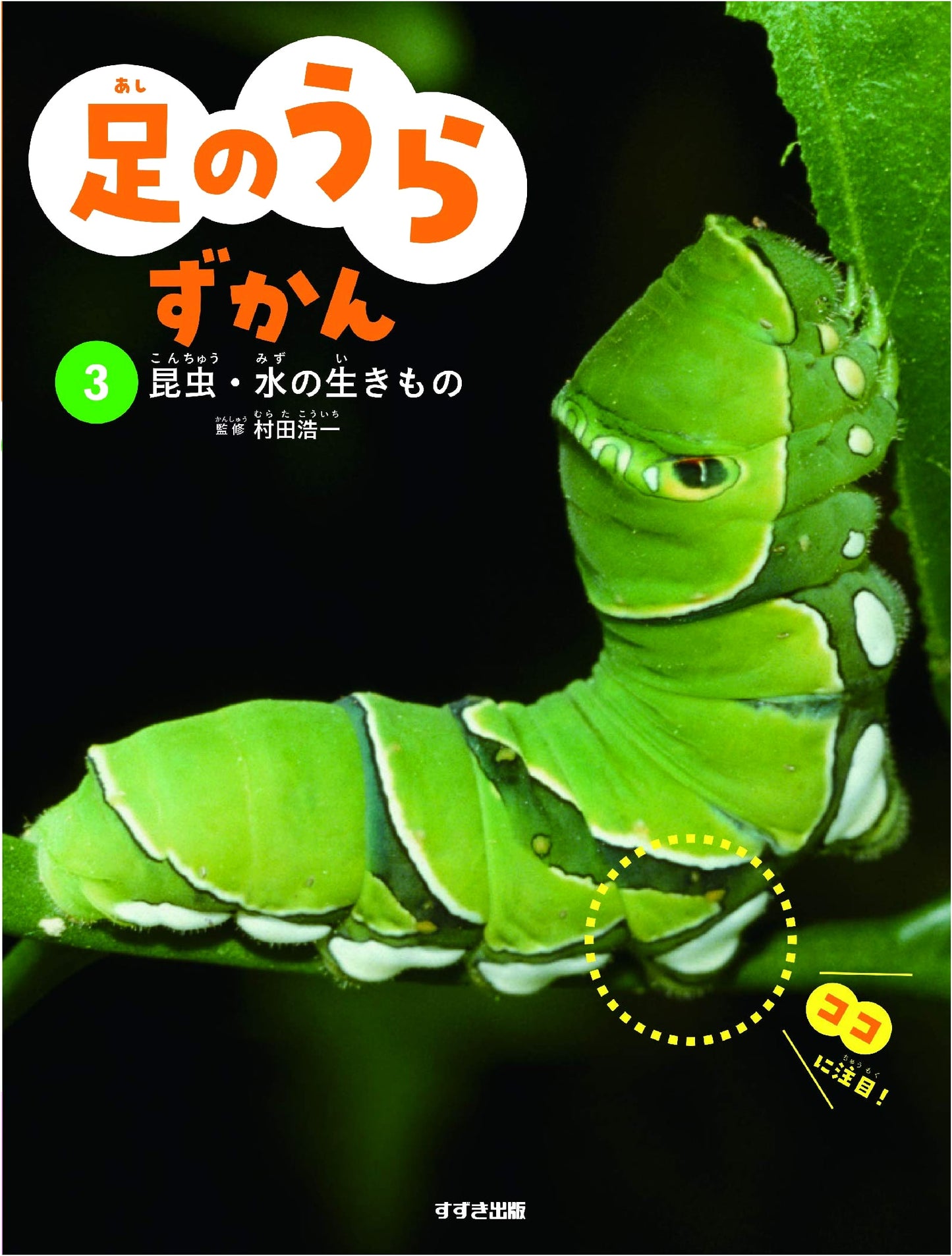 Underfoot Illustrated Guide Vol. 3: Insects and Aquatic Creatures