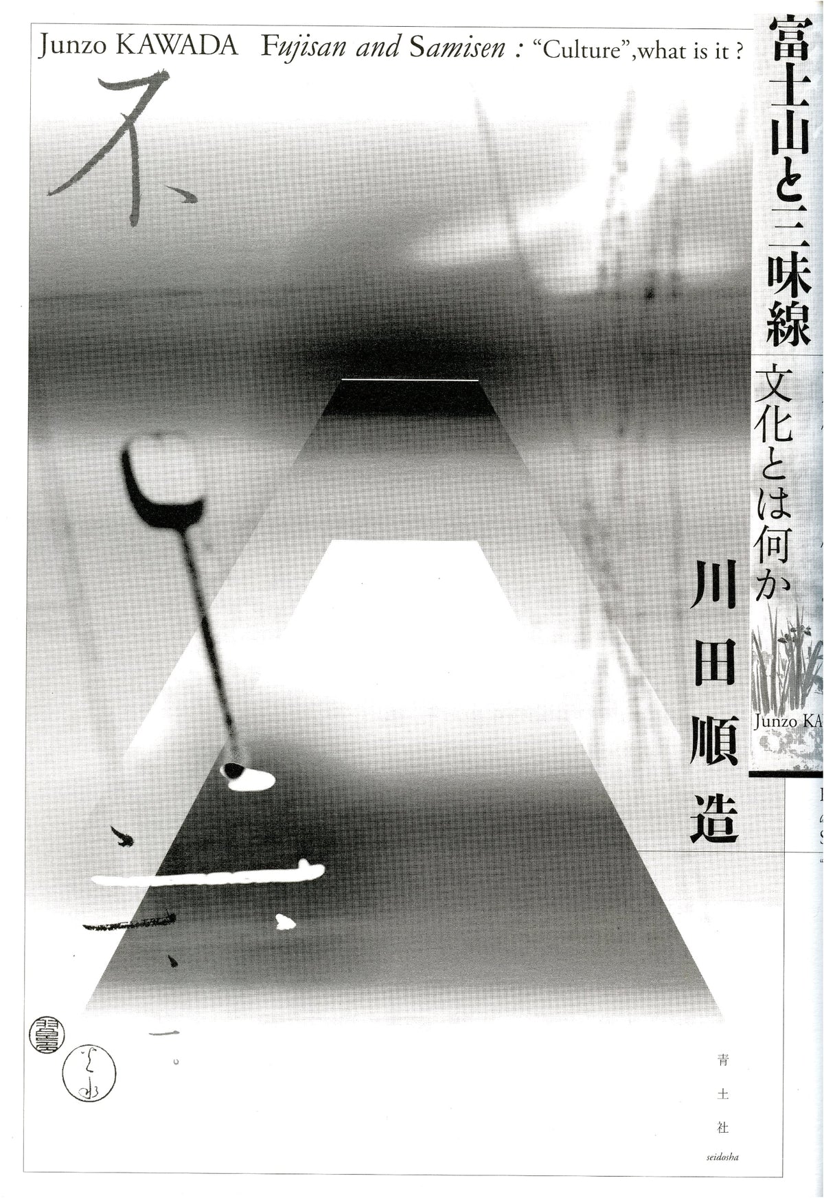Mount Fuji and Shamisen: What is Culture?