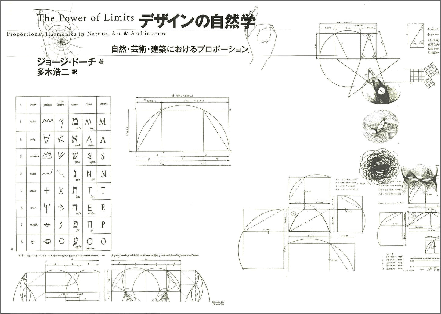 The Natural History of Design: Proportions in Nature, Art, and Architecture