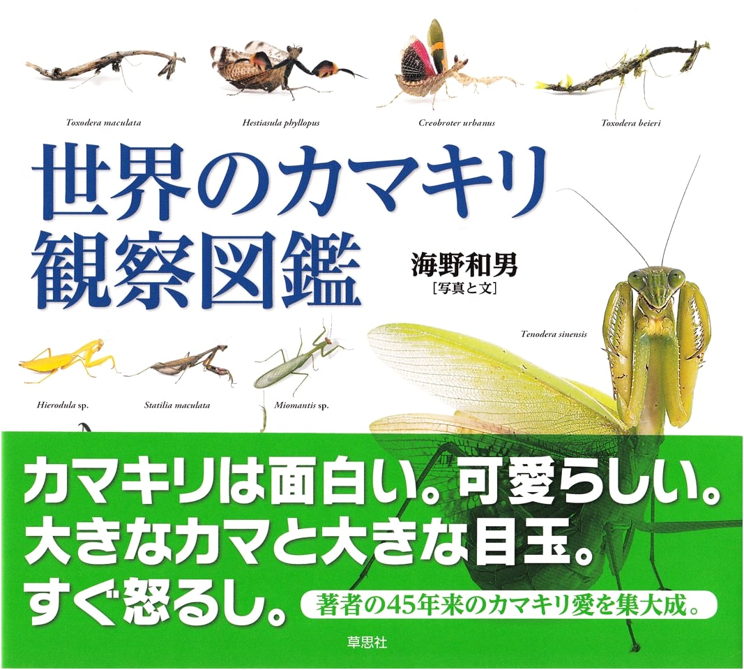 Illustrated Field Guide to Mantises of the World