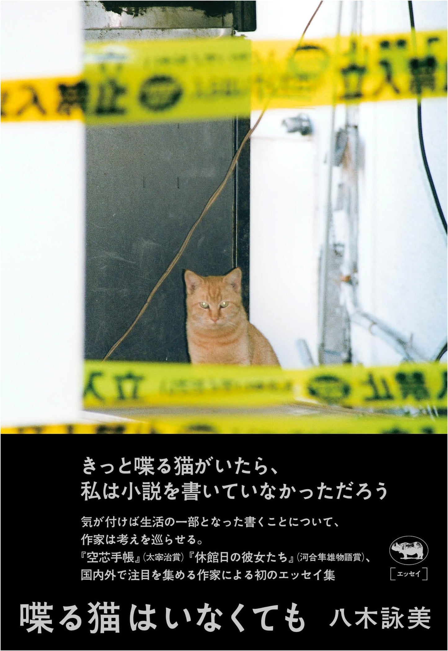 Even If There Are No Talking Cats