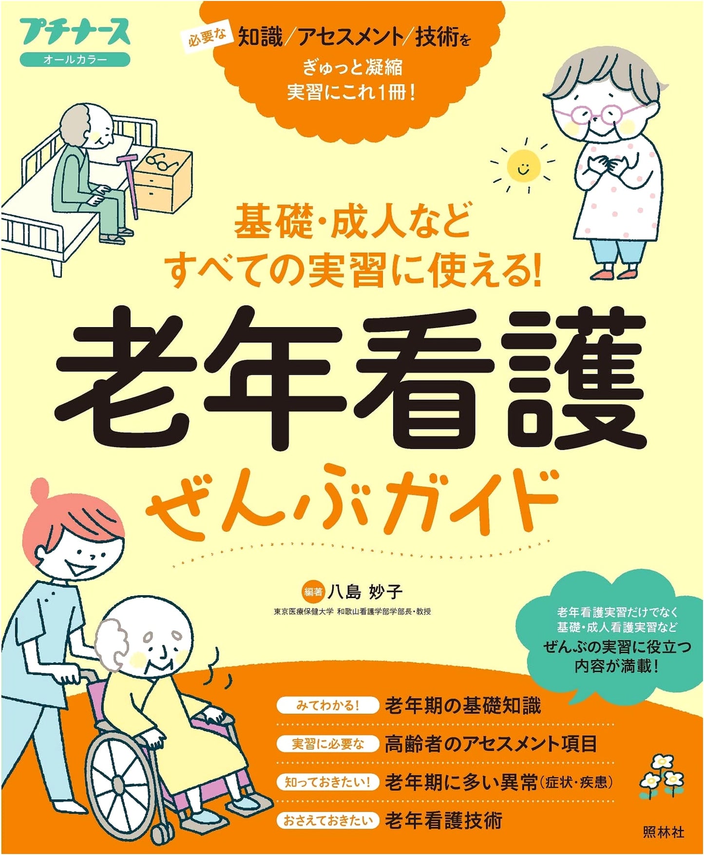 Complete Guide to Geriatric Nursing (Petit Nurse All Color Series)