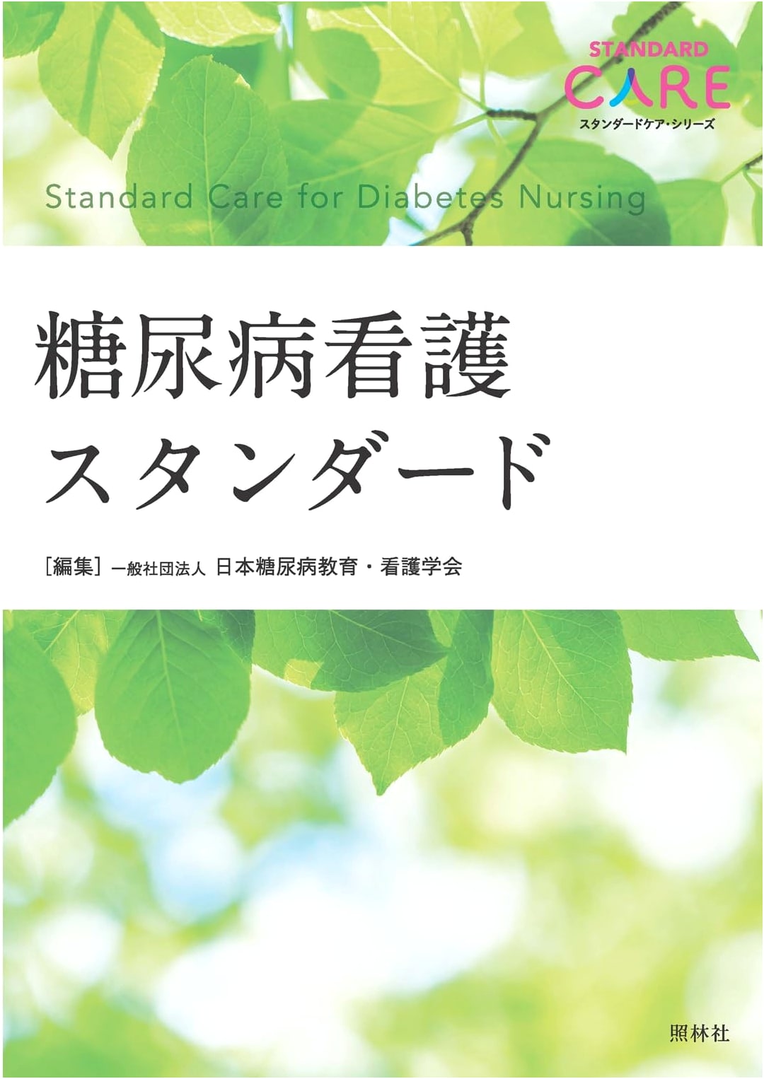 Diabetes Nursing Standards (Standard Care Series)