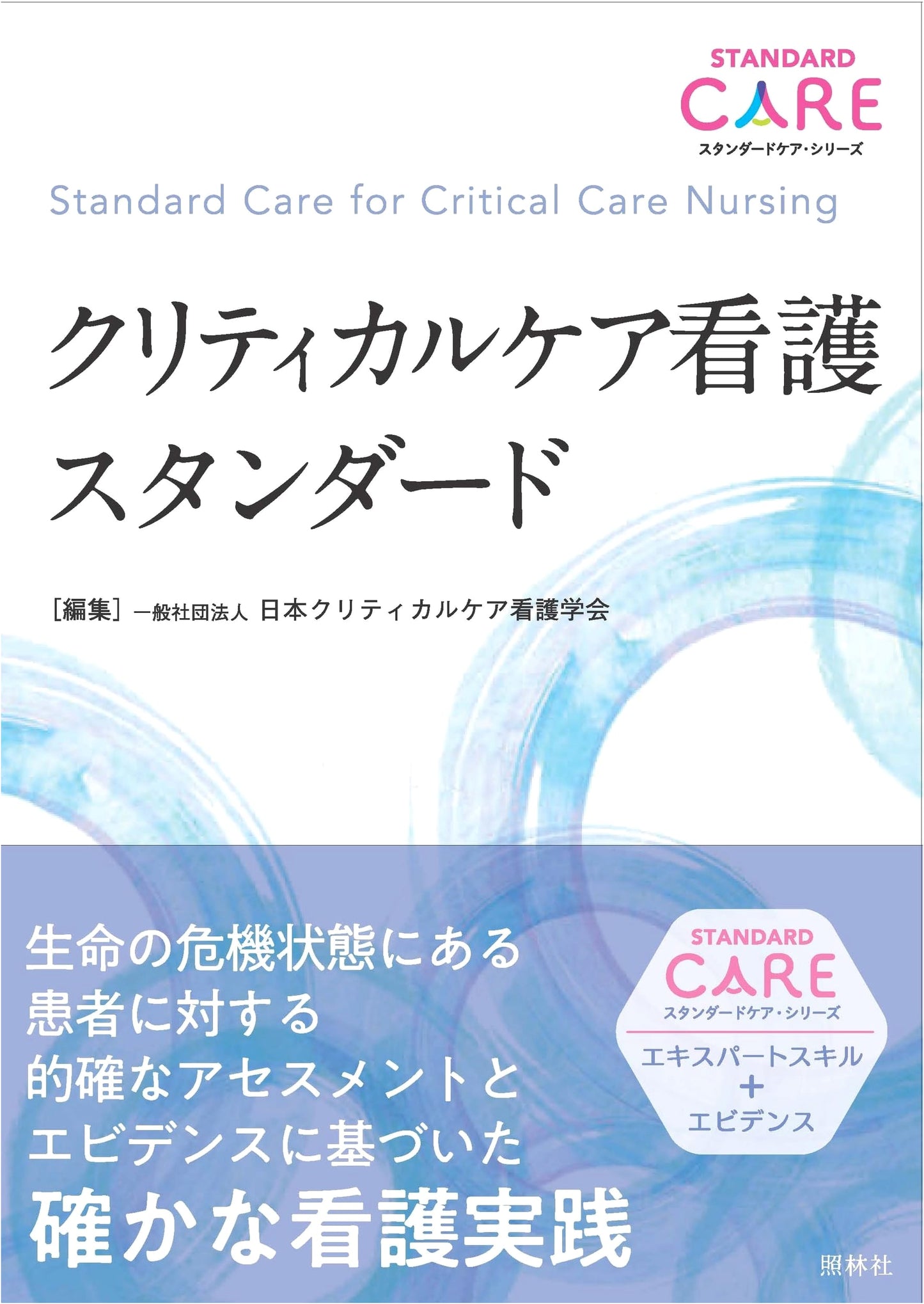 Critical Care Nursing Standards (Standard Care Series)