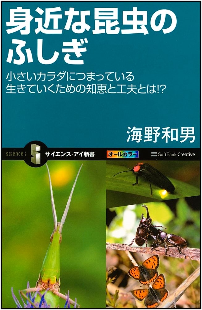 The Wonders of Everyday Insects: Wisdom & Ingenuity Packed in Small Bodies (Science Eye New Book)