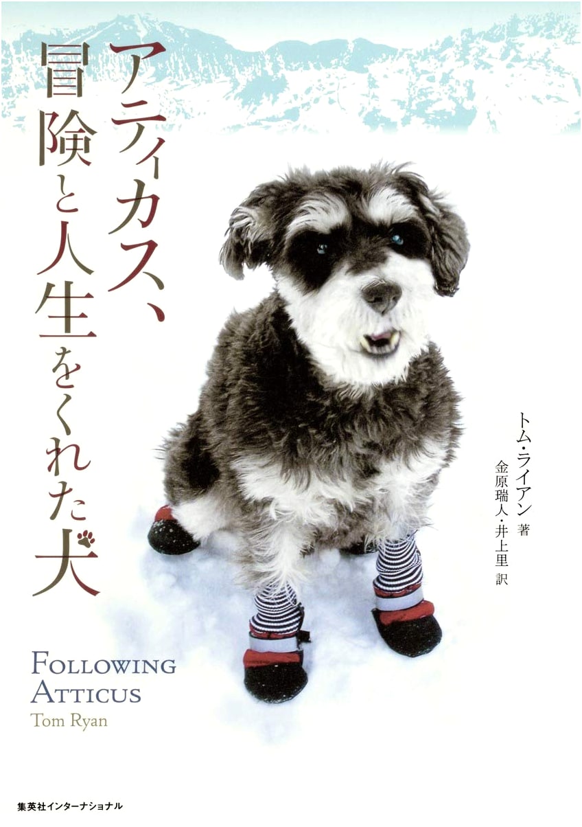 Atticus, The Dog Who Gave Me Adventure and Life