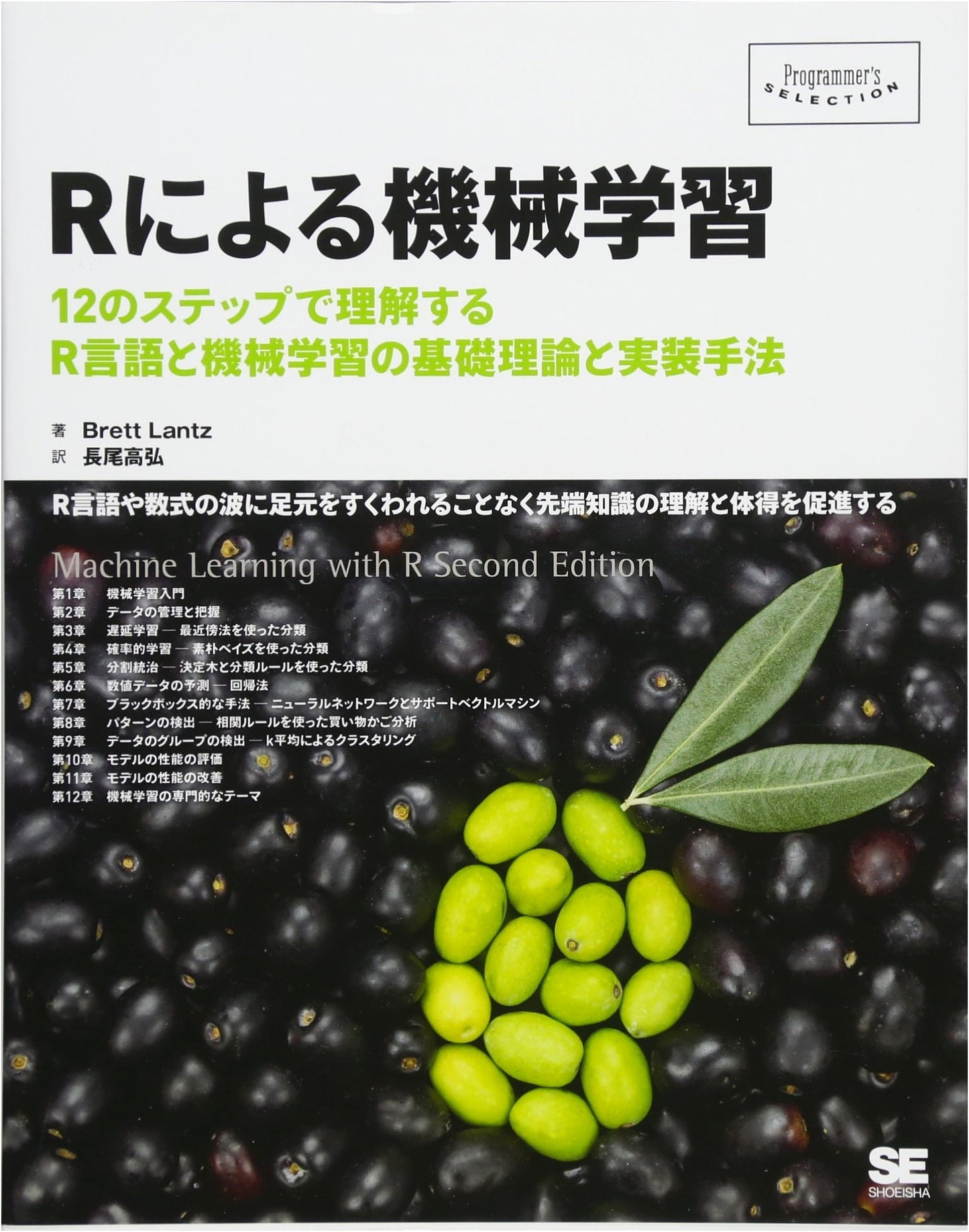 Machine Learning with R (Programmer's Selection)