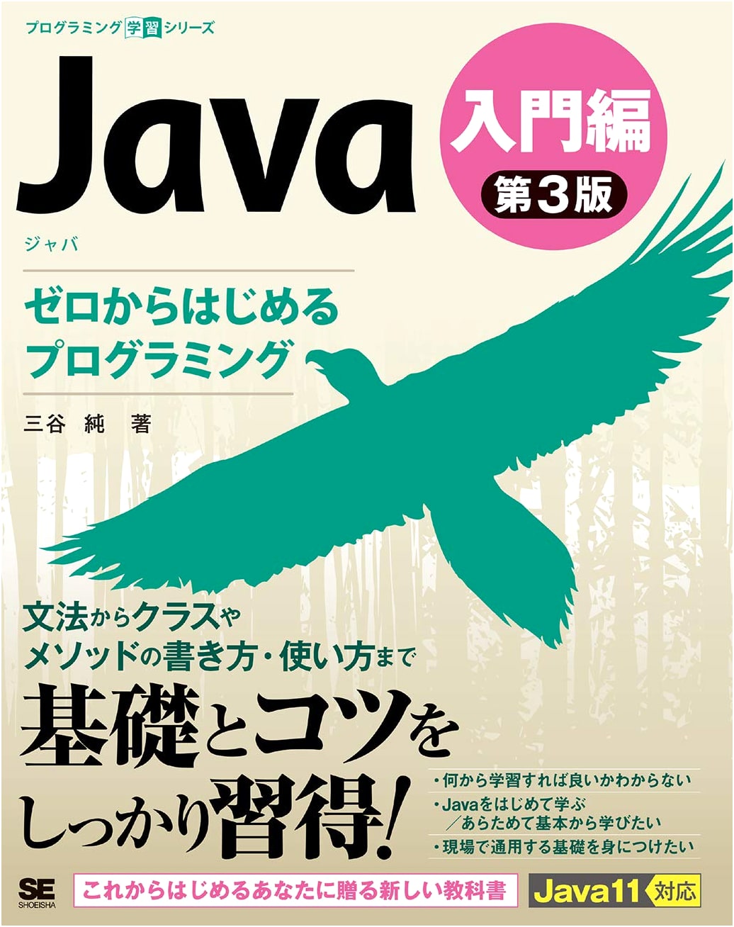 Java 3rd Edition: Introduction to Programming From Scratch (Programming Learning Series)