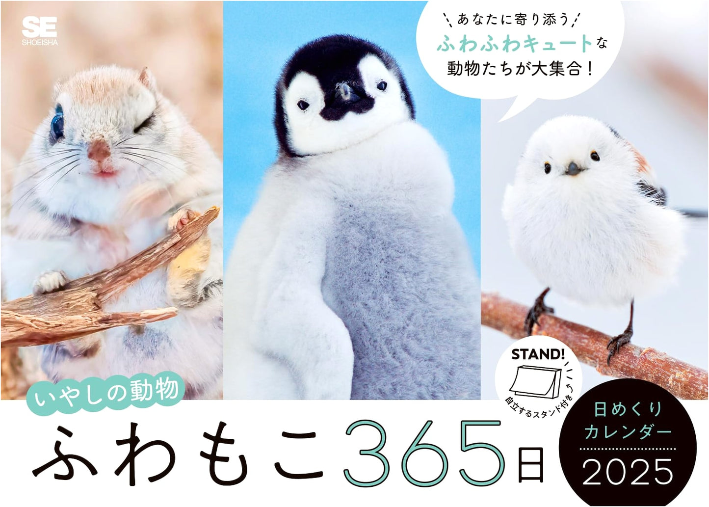 Fluffy & Cozy 365 Days: Healing Animals Daily Calendar 2025