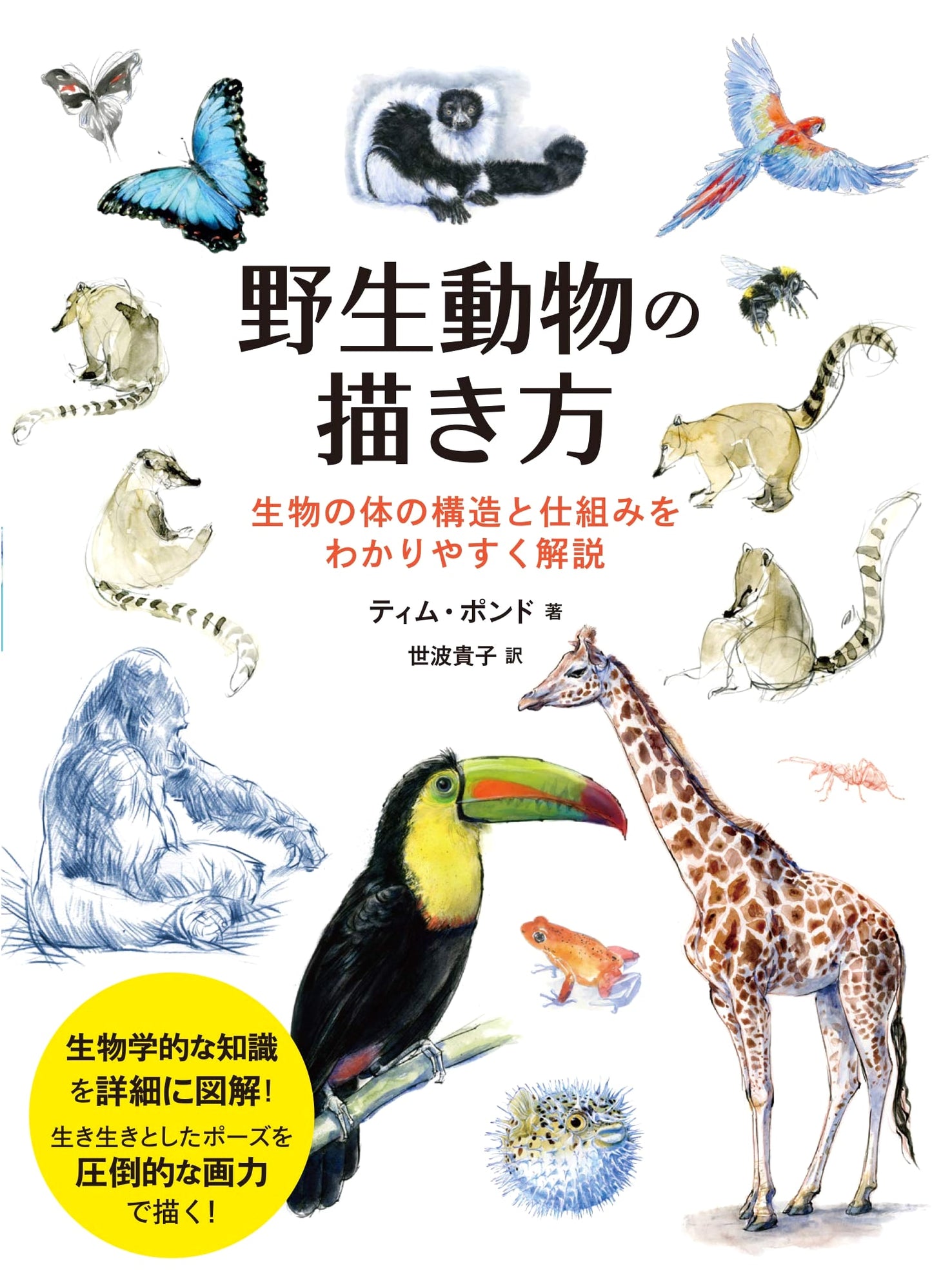 Drawing Wild Animals: A Comprehensive Guide to Anatomy & Form