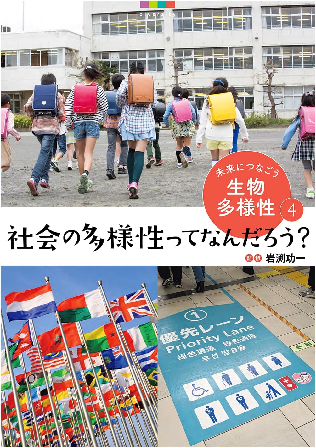 What is Societal Diversity?: An Accessible Introduction to Social Issues