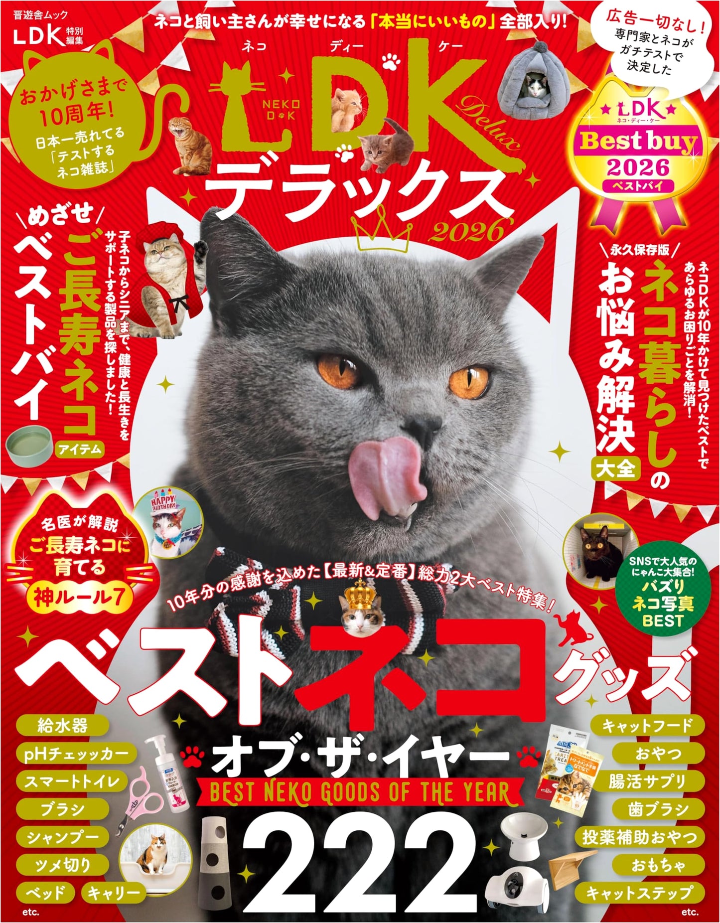 Neko DK Deluxe 2026: The Ultimate Cat Companion Guide