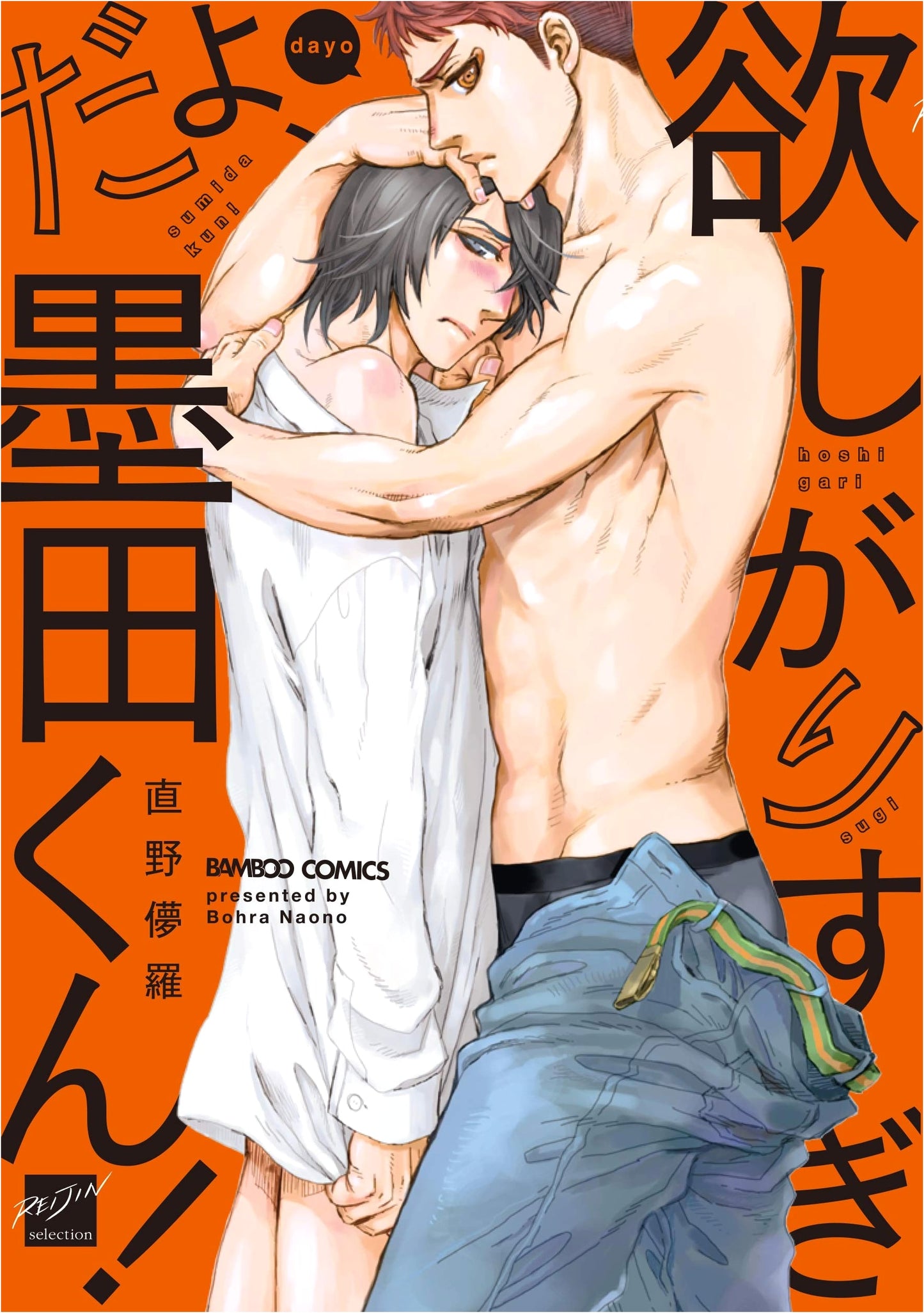 Sumida-kun, You're Far Too Demanding! (Bamboo Comics Reijin Selection)