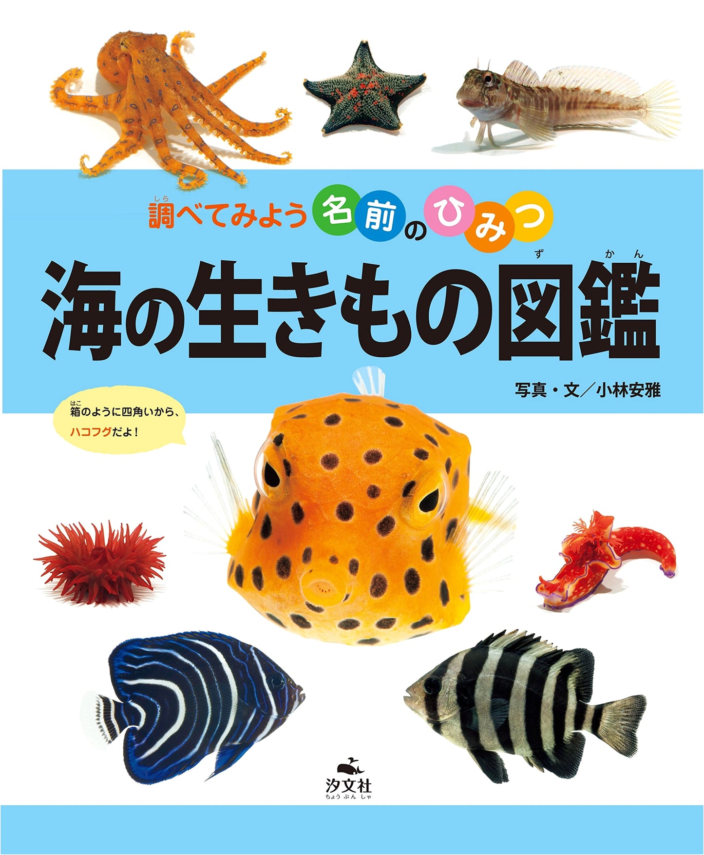 Illustrated Guide to Sea Creatures (Investigate the Secrets of Names)