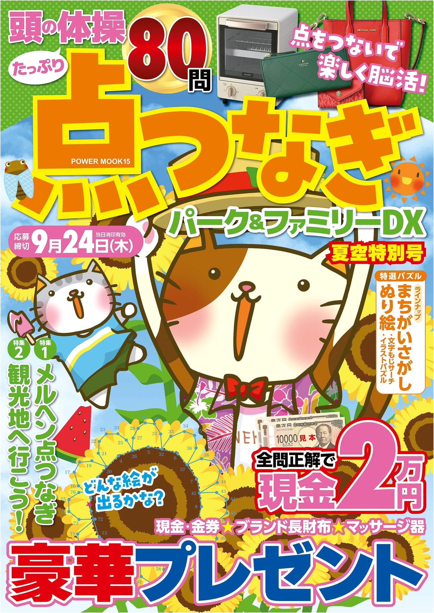 Dot-to-Dot Park & Family DX Summer Sky Special Issue (POWER MOOK)